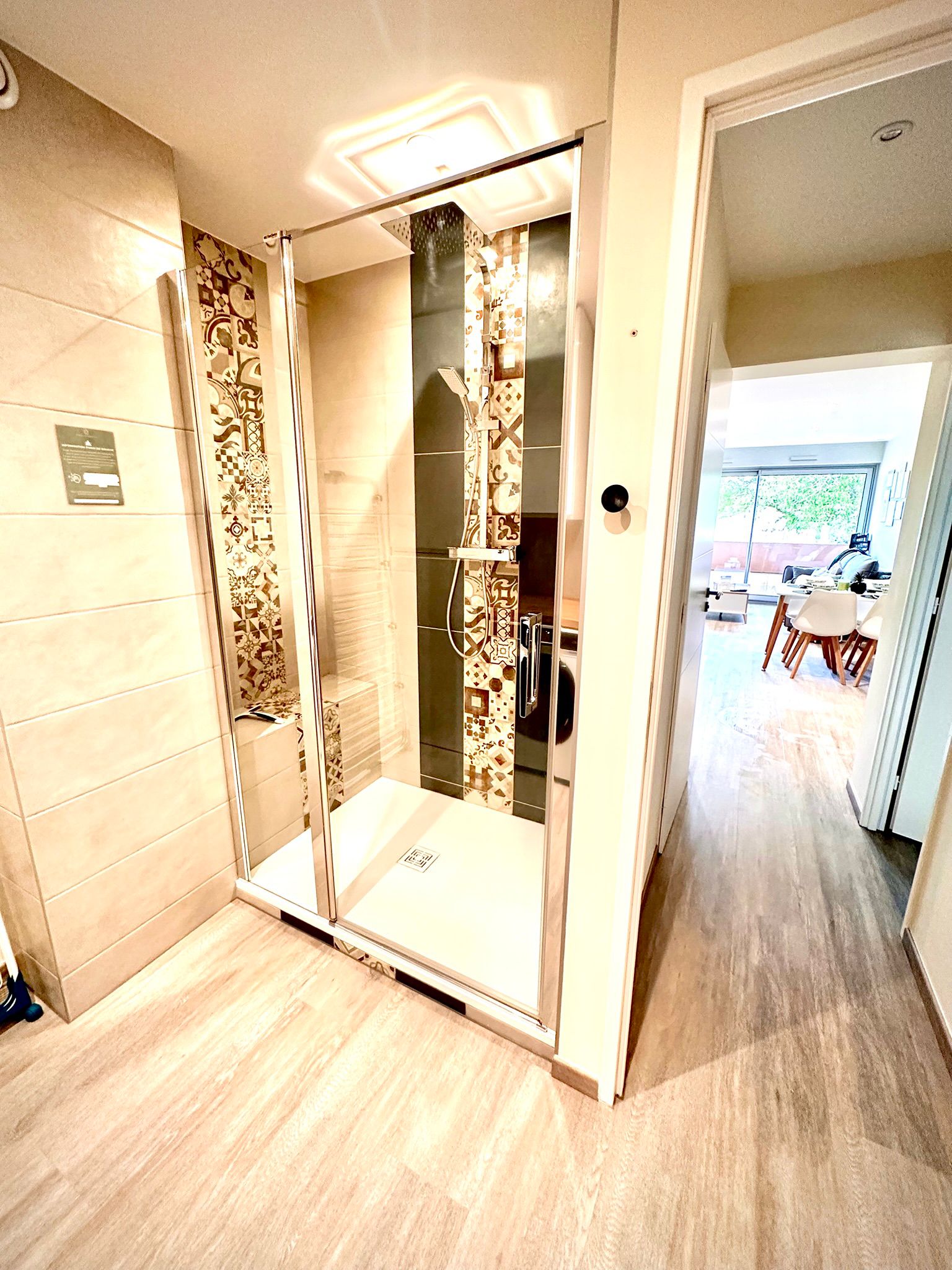 LOCATION BALARUC LES BAINS SPHYNX DE THAU BOUE FLORENT (13)