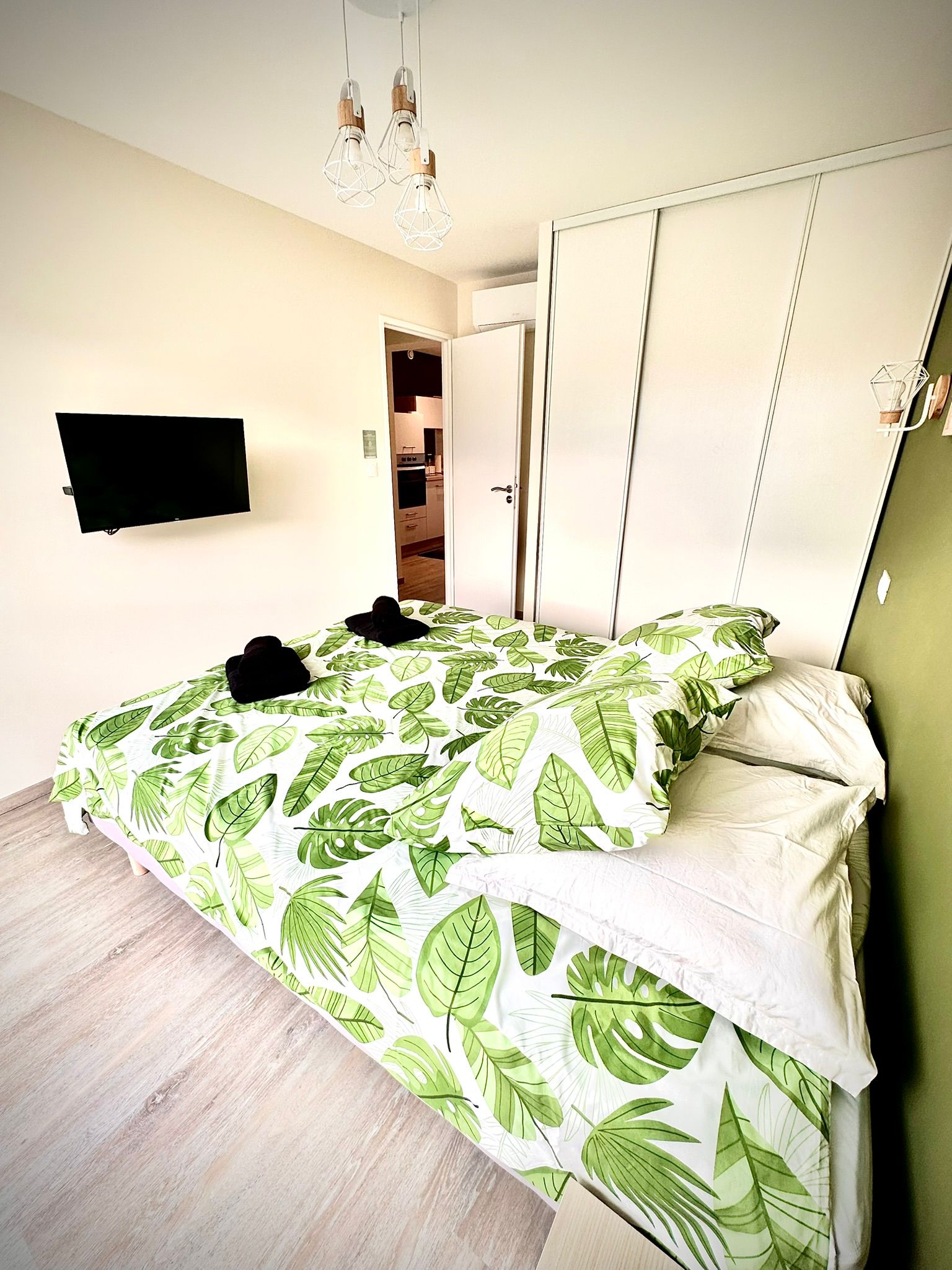 LOCATION BALARUC LES BAINS SPHYNX DE THAU BOUE FLORENT (14)