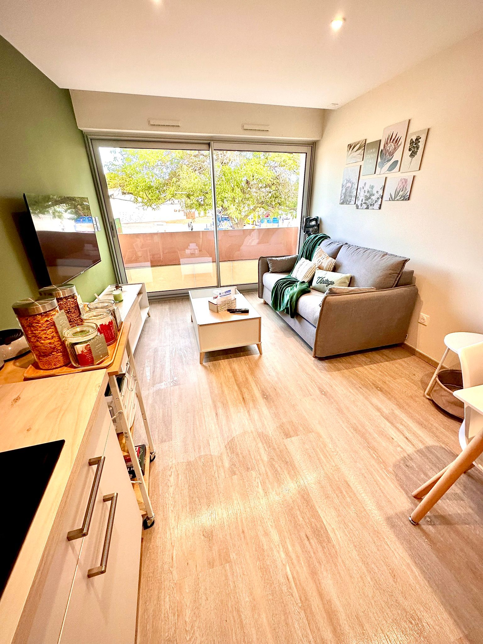 LOCATION BALARUC LES BAINS SPHYNX DE THAU BOUE FLORENT (16)