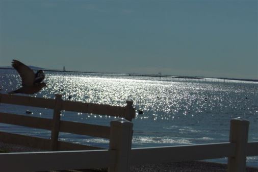 LOCATION BALARUC-LES-BAINS PONTIER CALANQUES