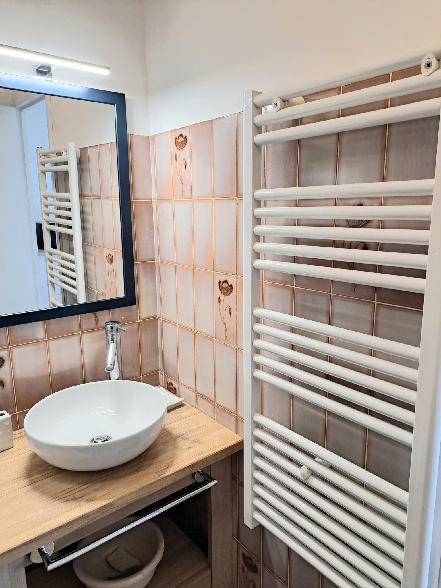 Location Balaruc les Bains Résidence le Sphinx Paolino Eliane (5)