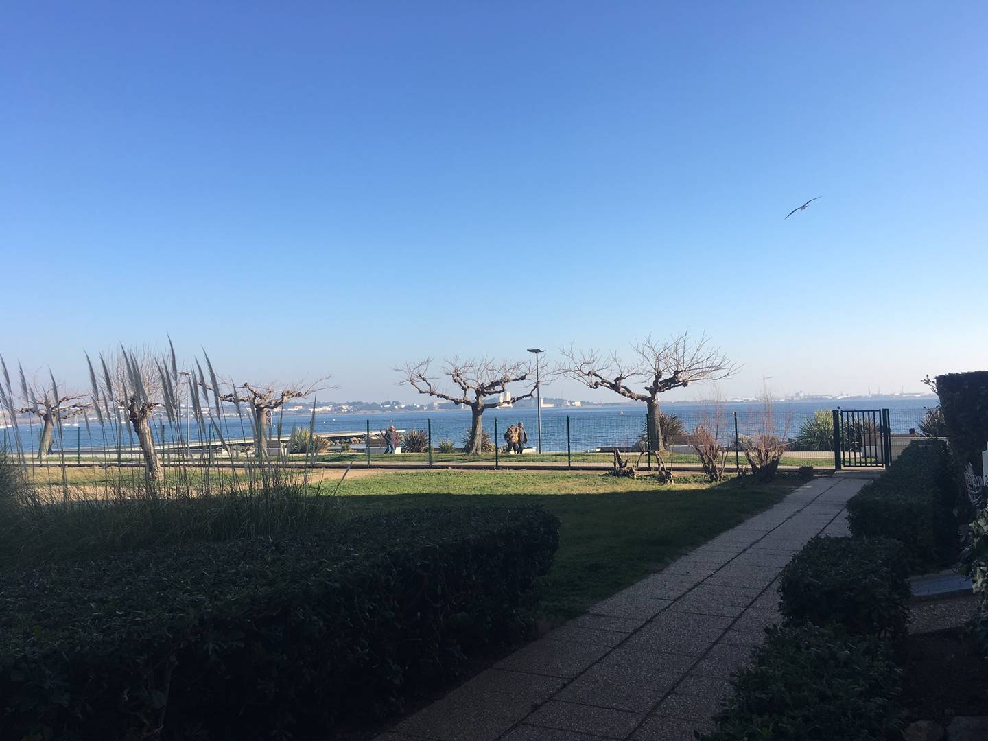 _clients_193454001_photos_16j_18682709