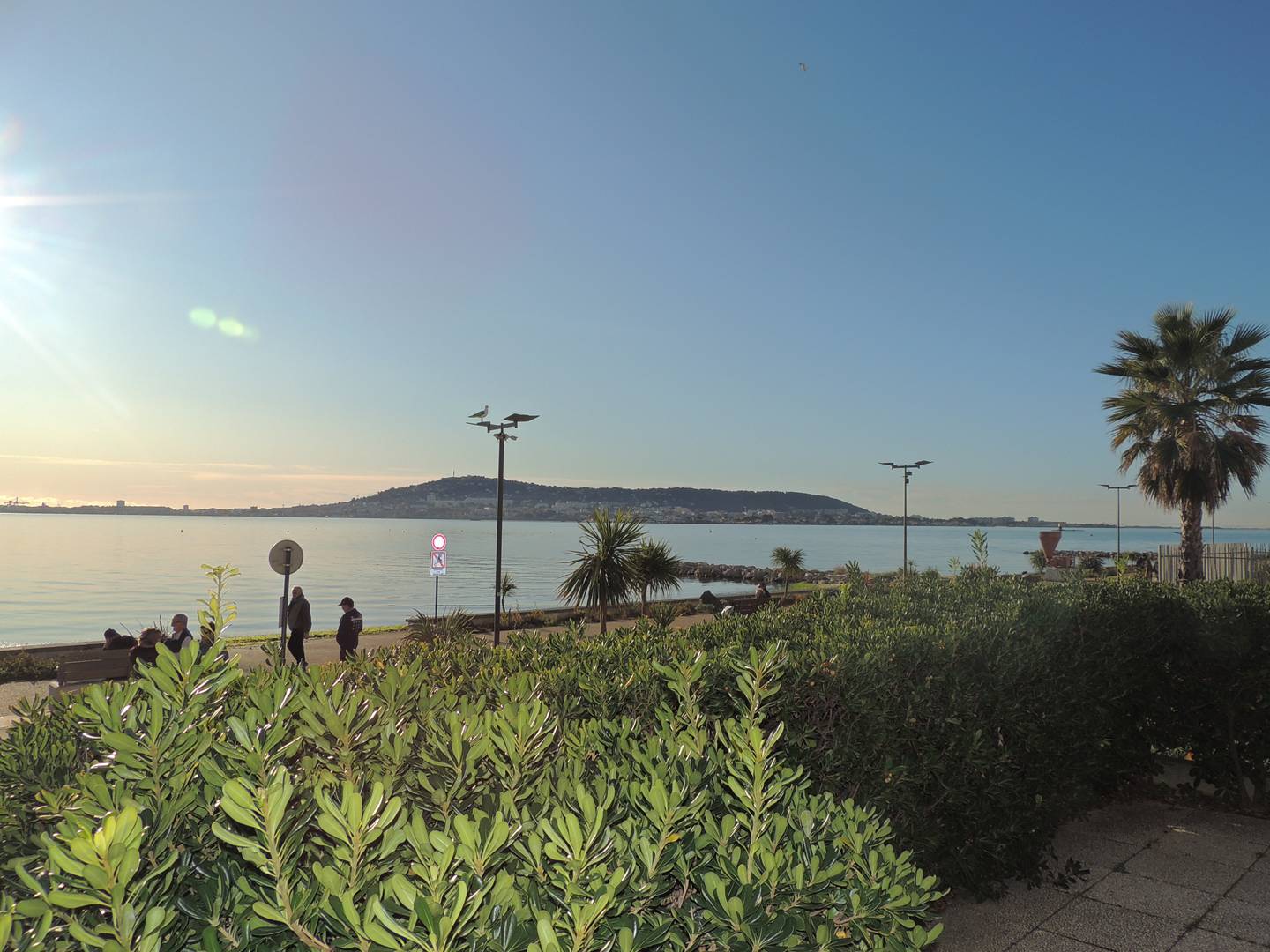 _clients_193454002_photos_28k_19122741