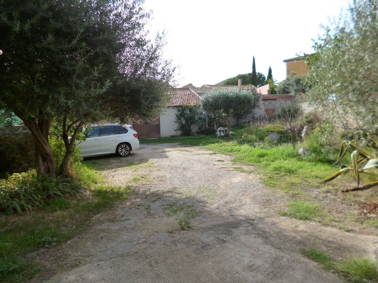 _clients_193454002_photos_99h_19129830