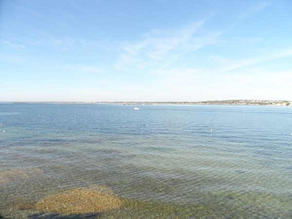 _clients_193454003_photos_102g_18588086