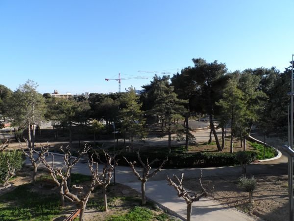 _clients_193454003_photos_157g_18381217