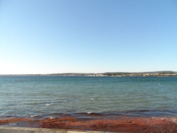 _clients_193454003_photos_228g_18252504