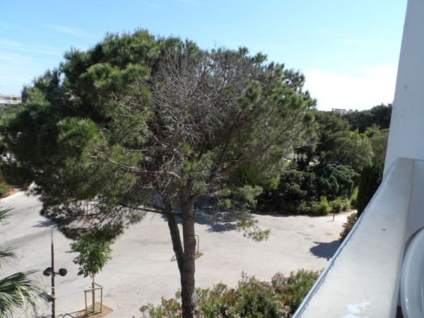 _clients_193454003_photos_305g_19122268