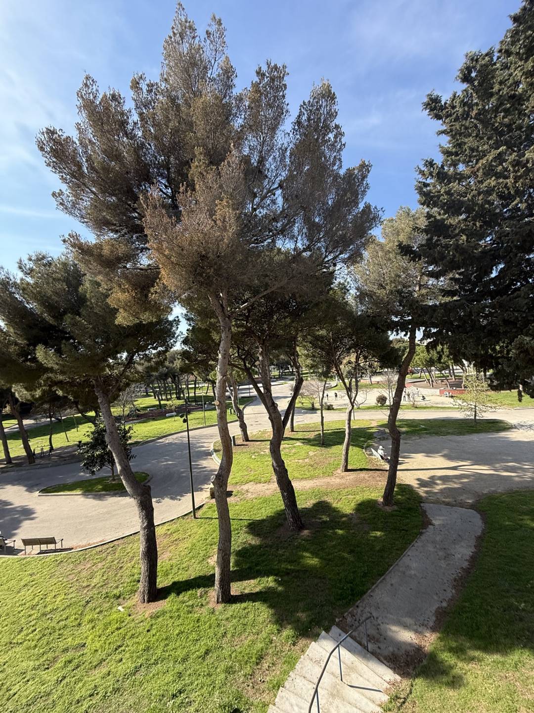 _clients_193454003_photos_309a_19265238