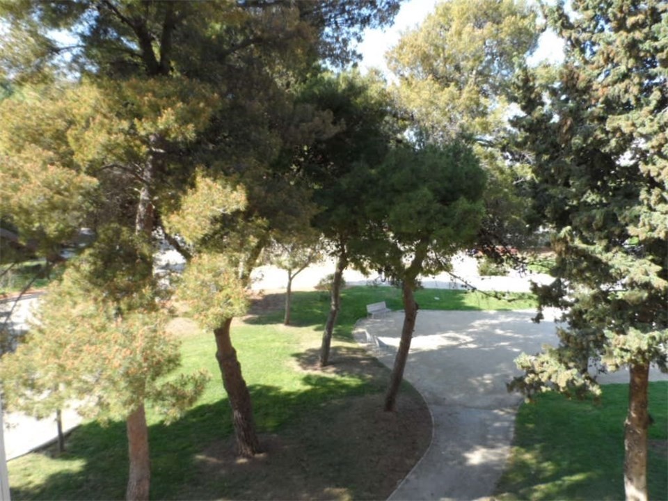 _clients_193454003_photos_309b_18381380