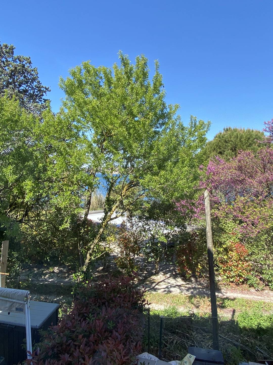 _clients_193454004_photos_18g_19243982