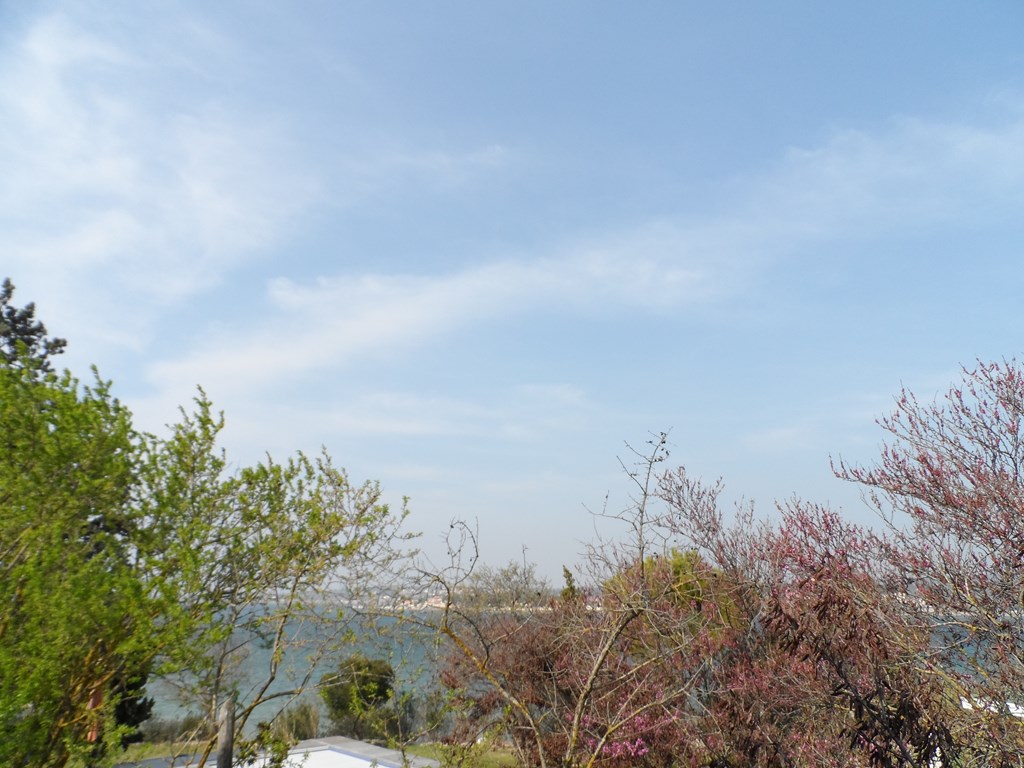 _clients_193454004_photos_321b_18426514