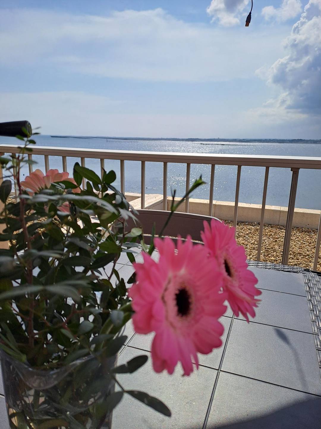 _clients_193454004_photos_47a_18074134