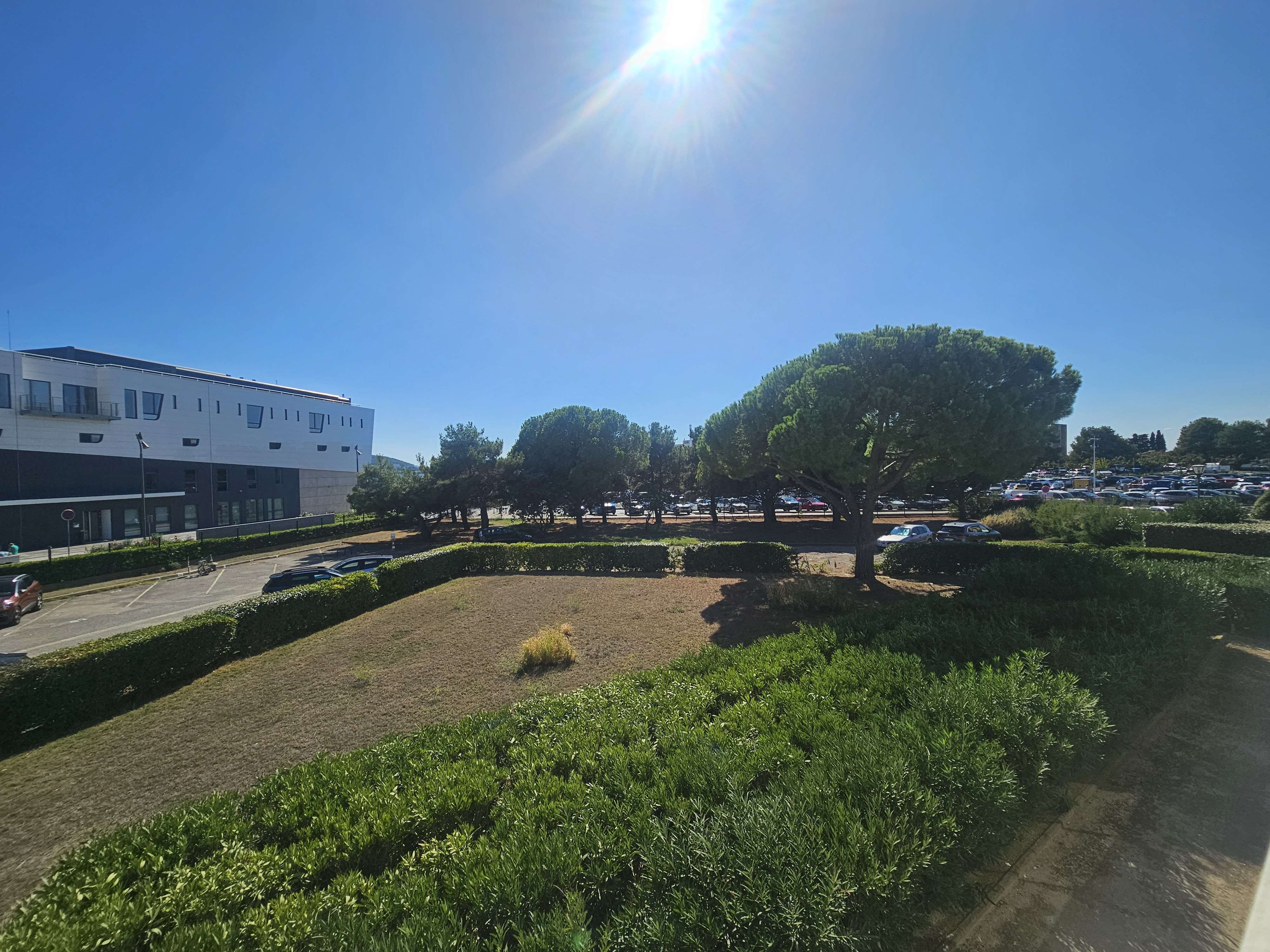 _clients_193454005_photos_438w_19046184