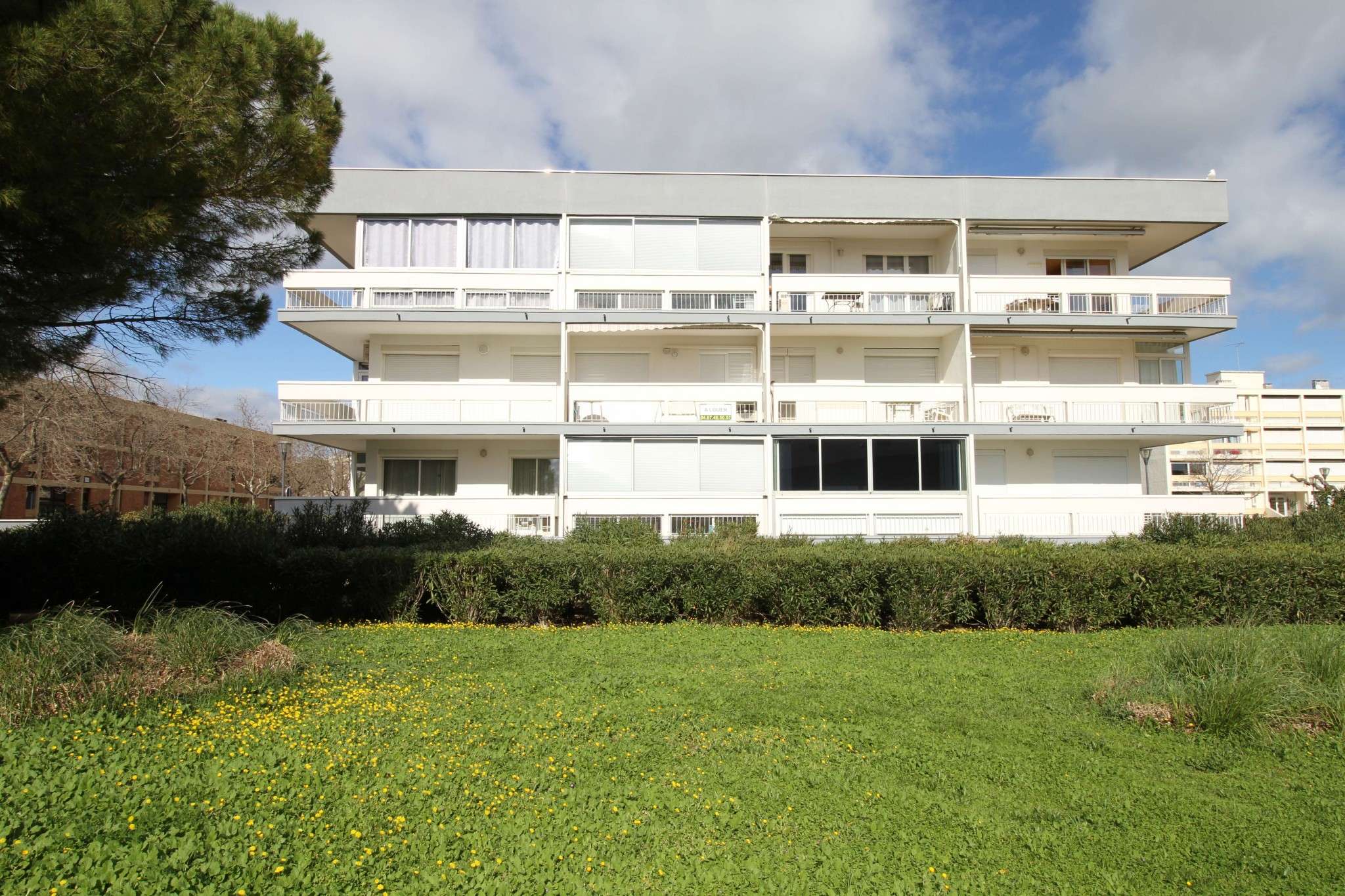 _clients_193454005_photos_438z_19171790