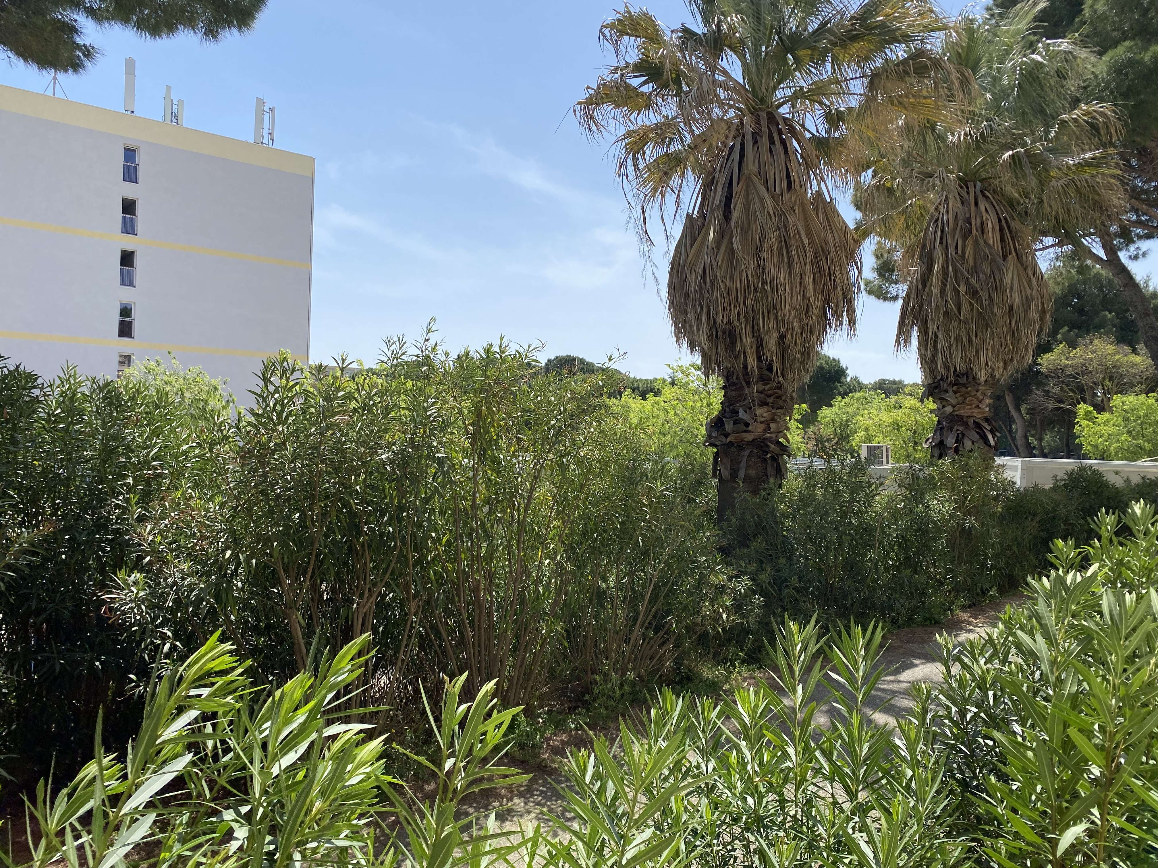 _clients_193454005_photos_480l_18112663