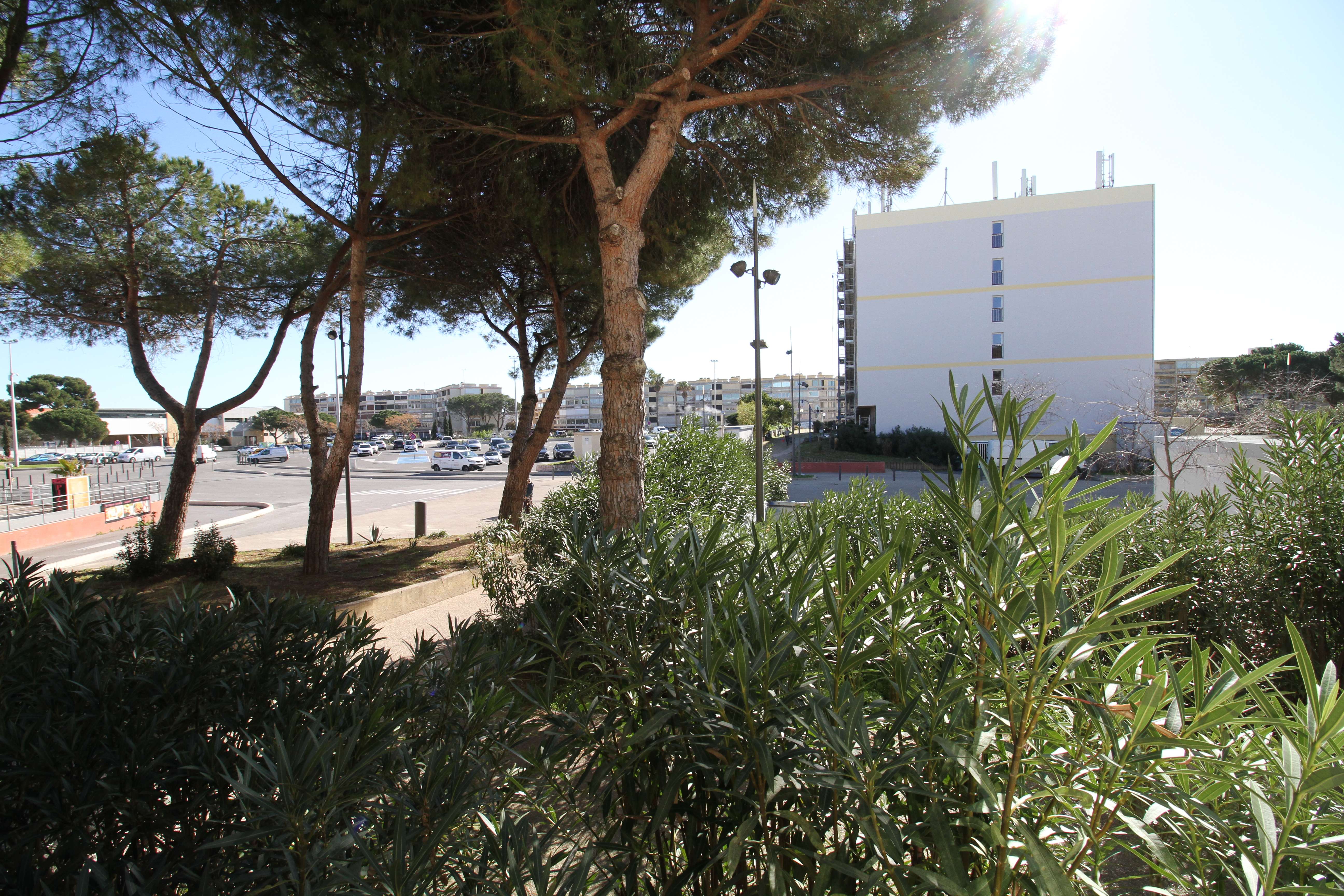 _clients_193454005_photos_480m_18955853