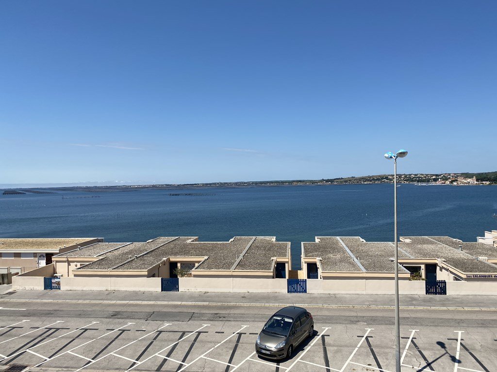 _clients_193454005_photos_493q_19025567