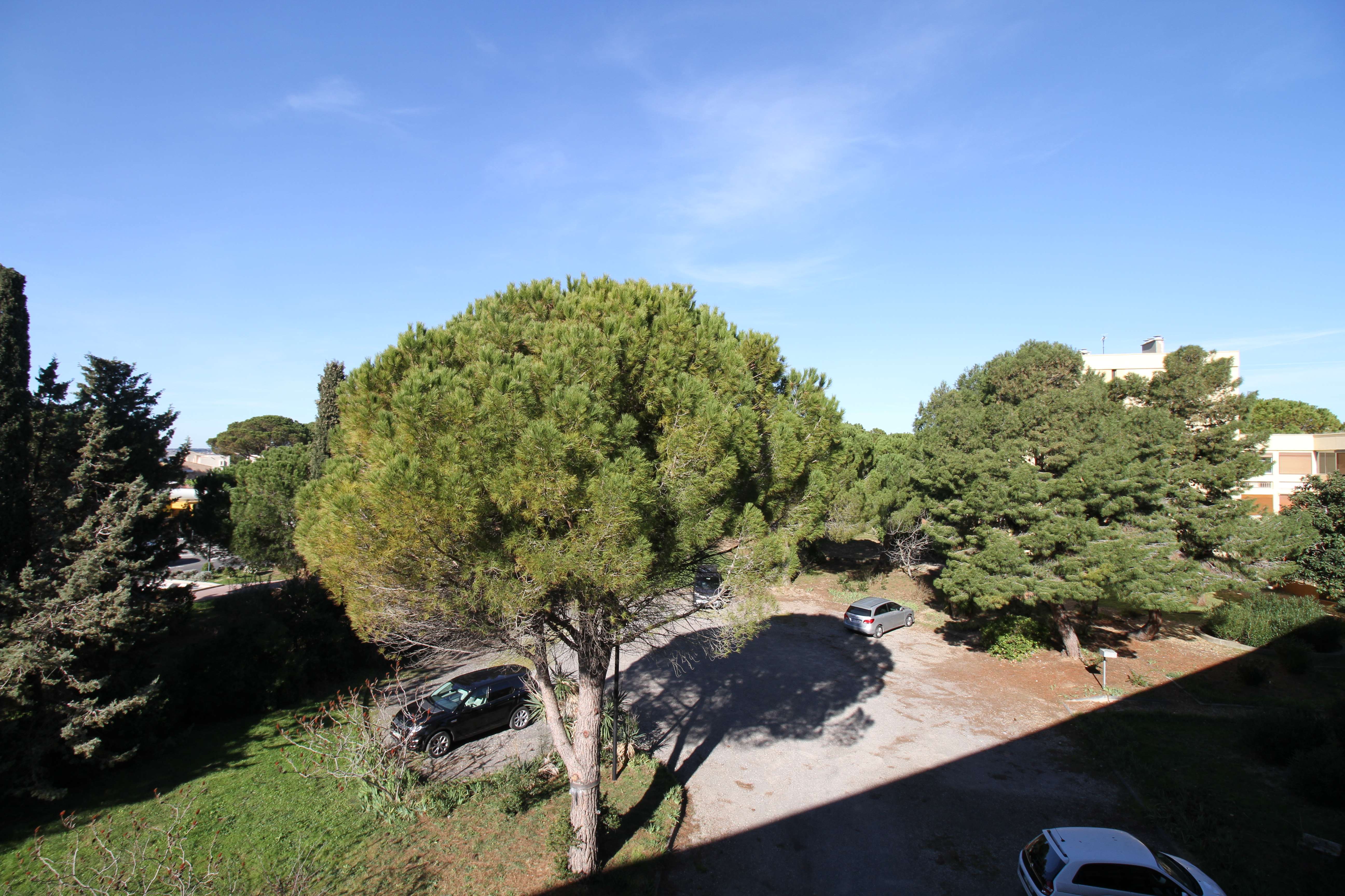 _clients_193454005_photos_598n_18253773