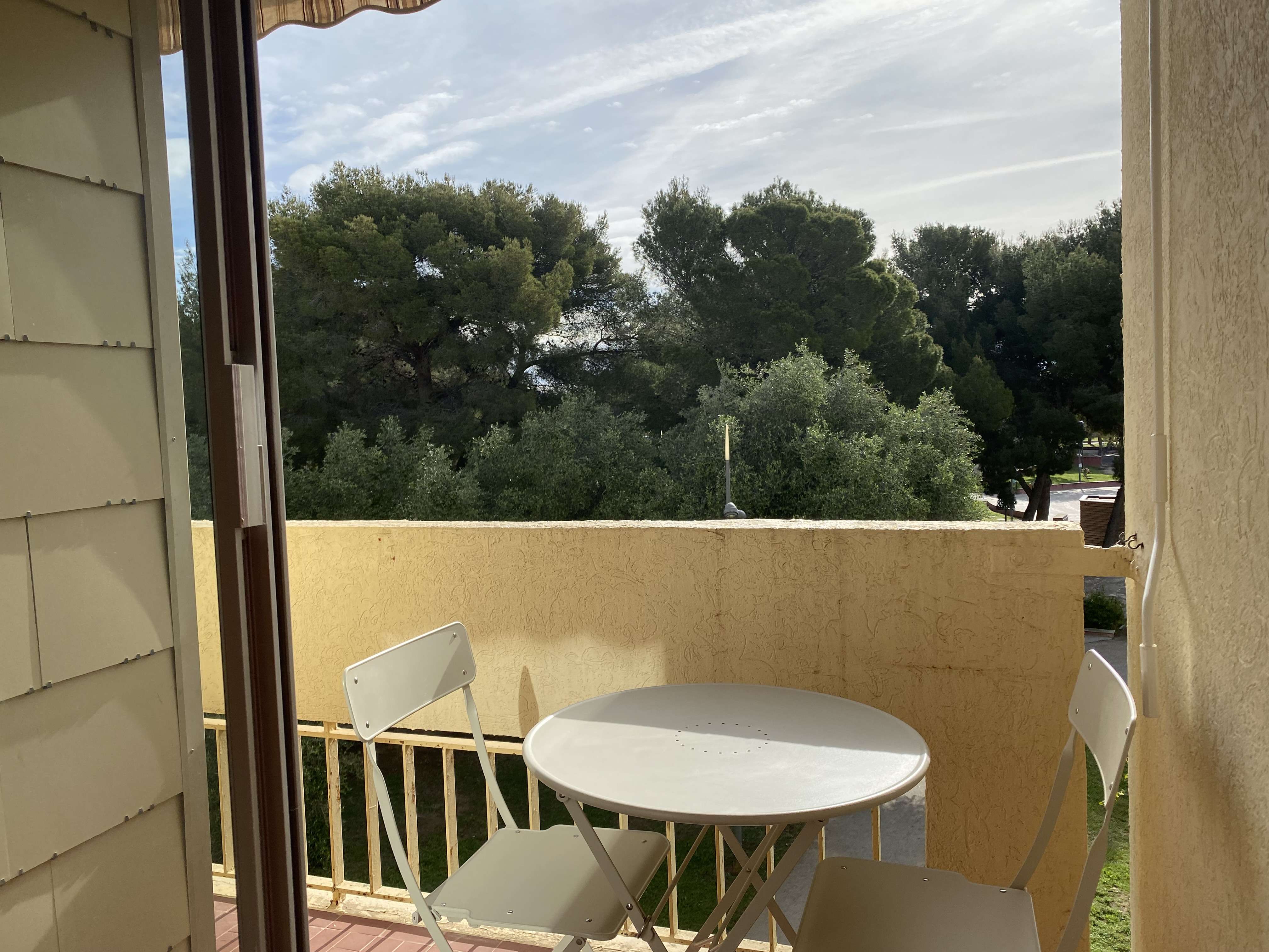 _clients_193454005_photos_649j_19205138