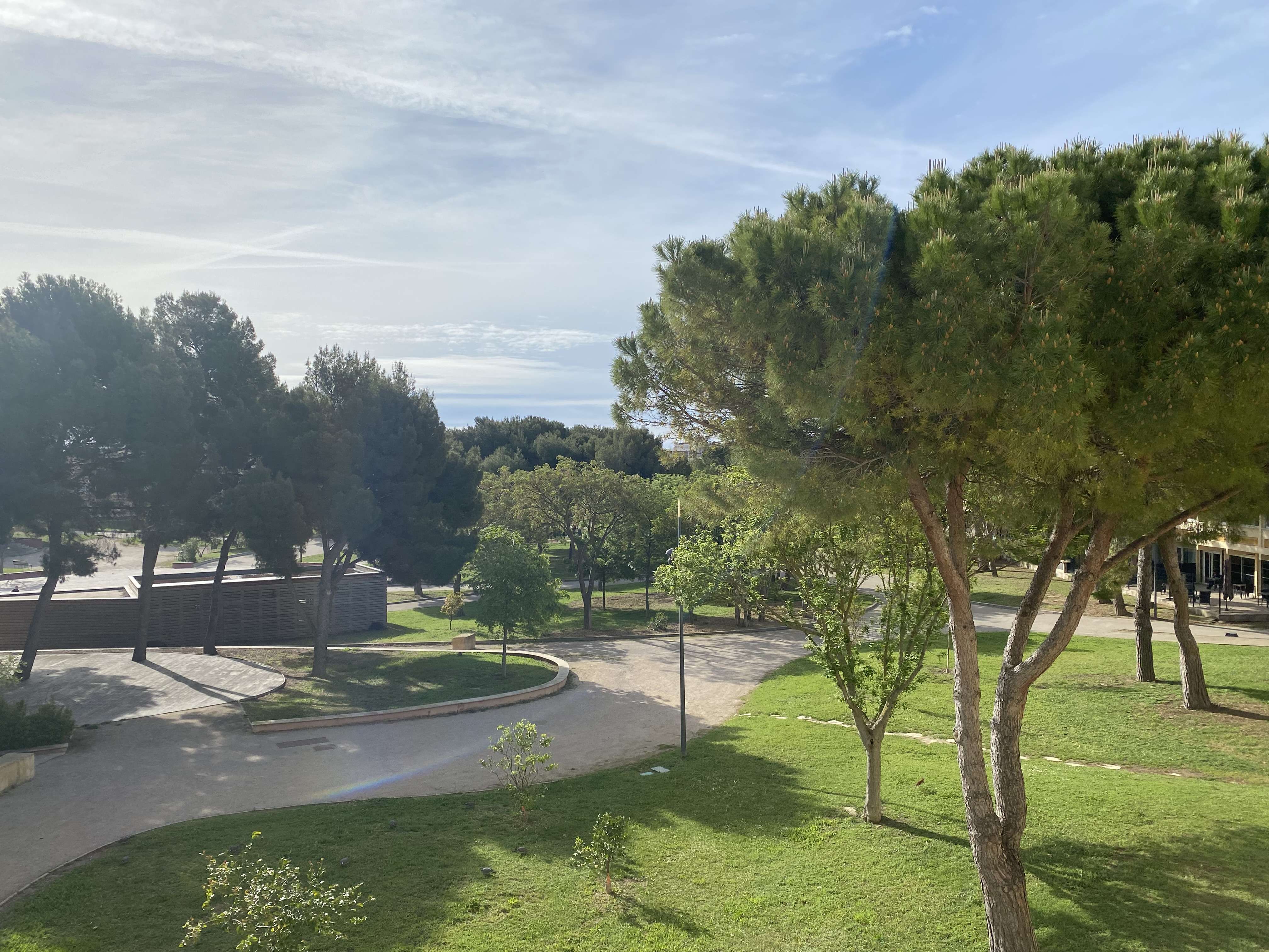 _clients_193454005_photos_649l_19205140