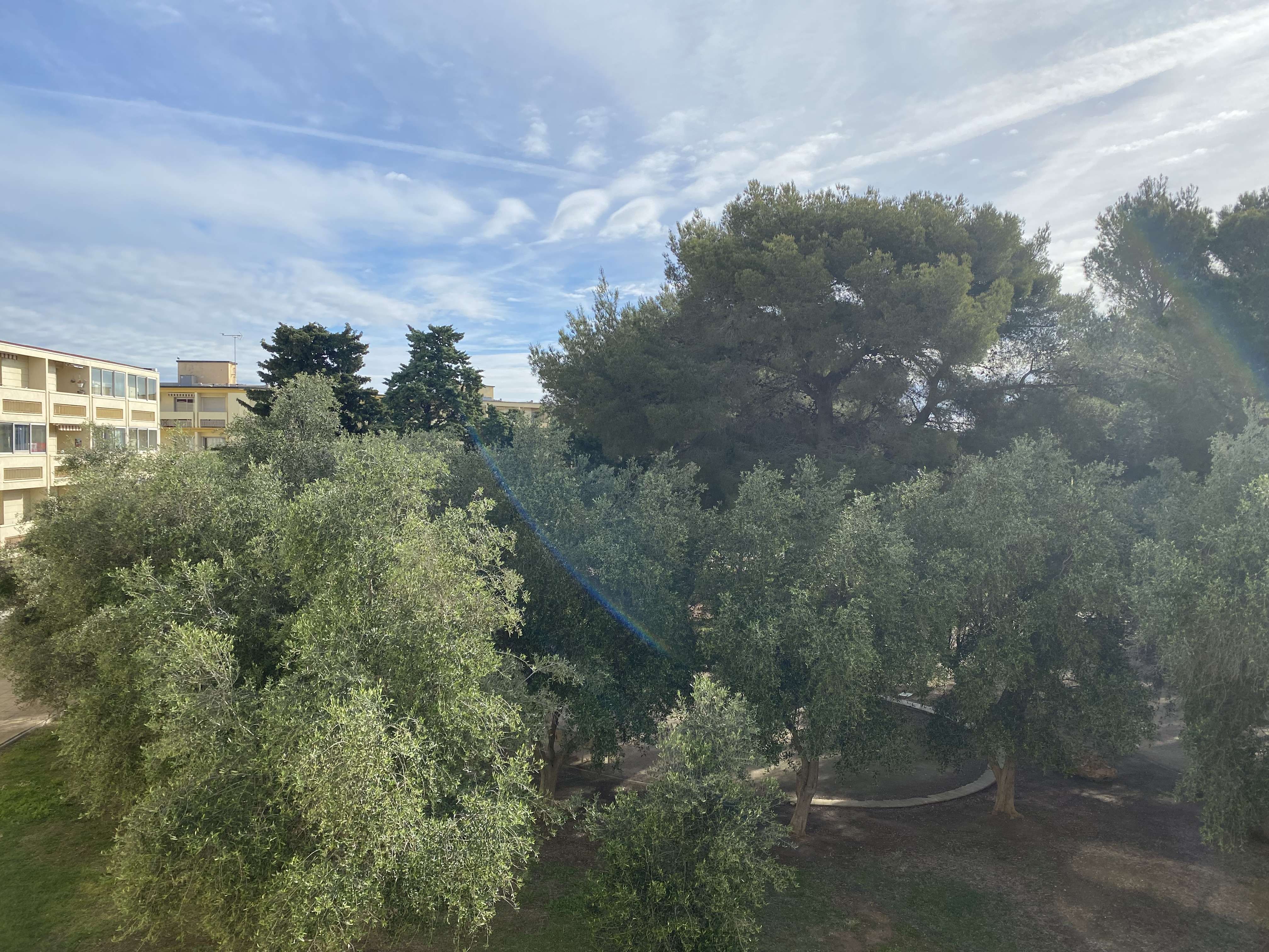 _clients_193454005_photos_649n_18450680