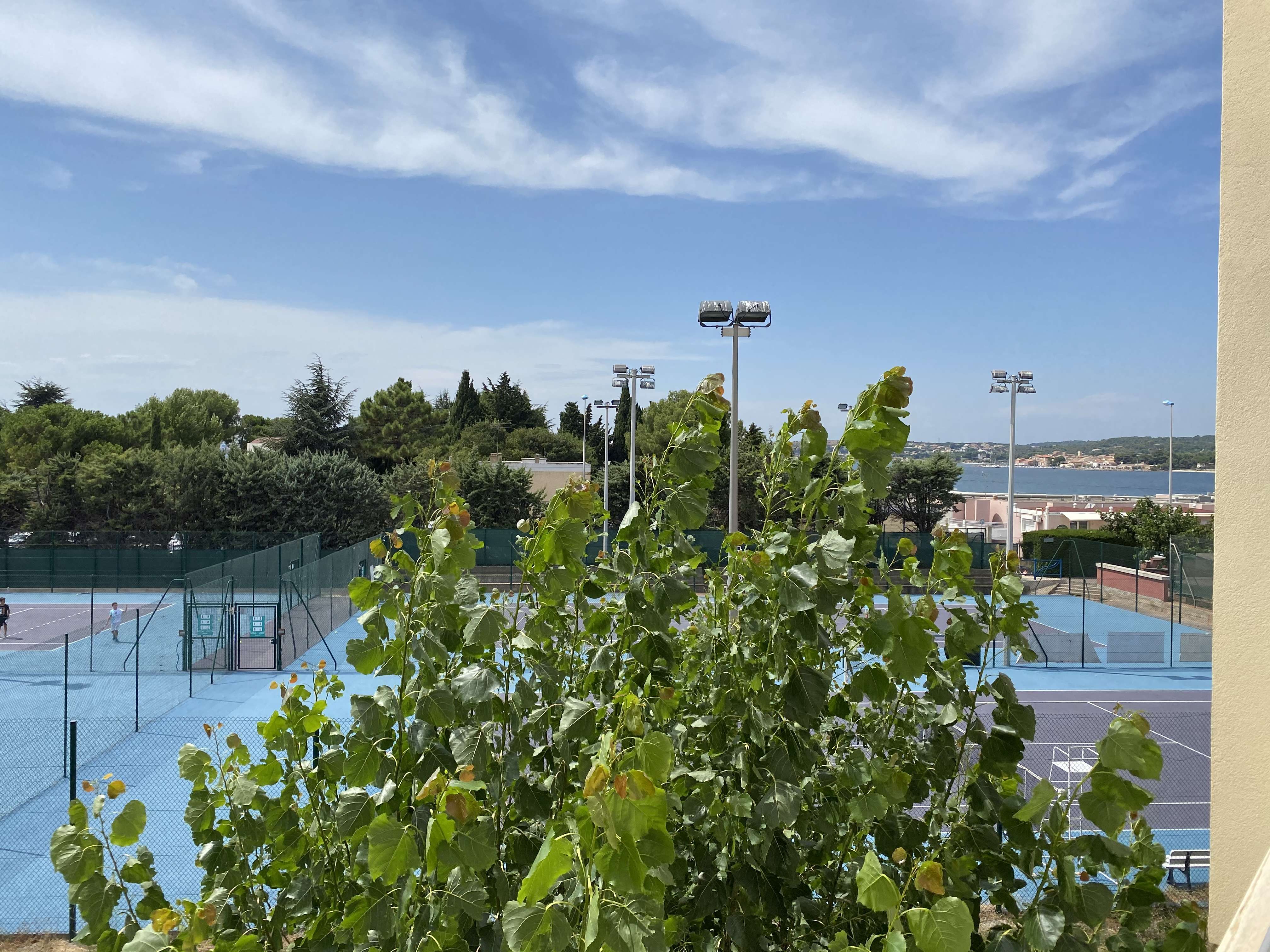 _clients_193454005_photos_651o_18428603