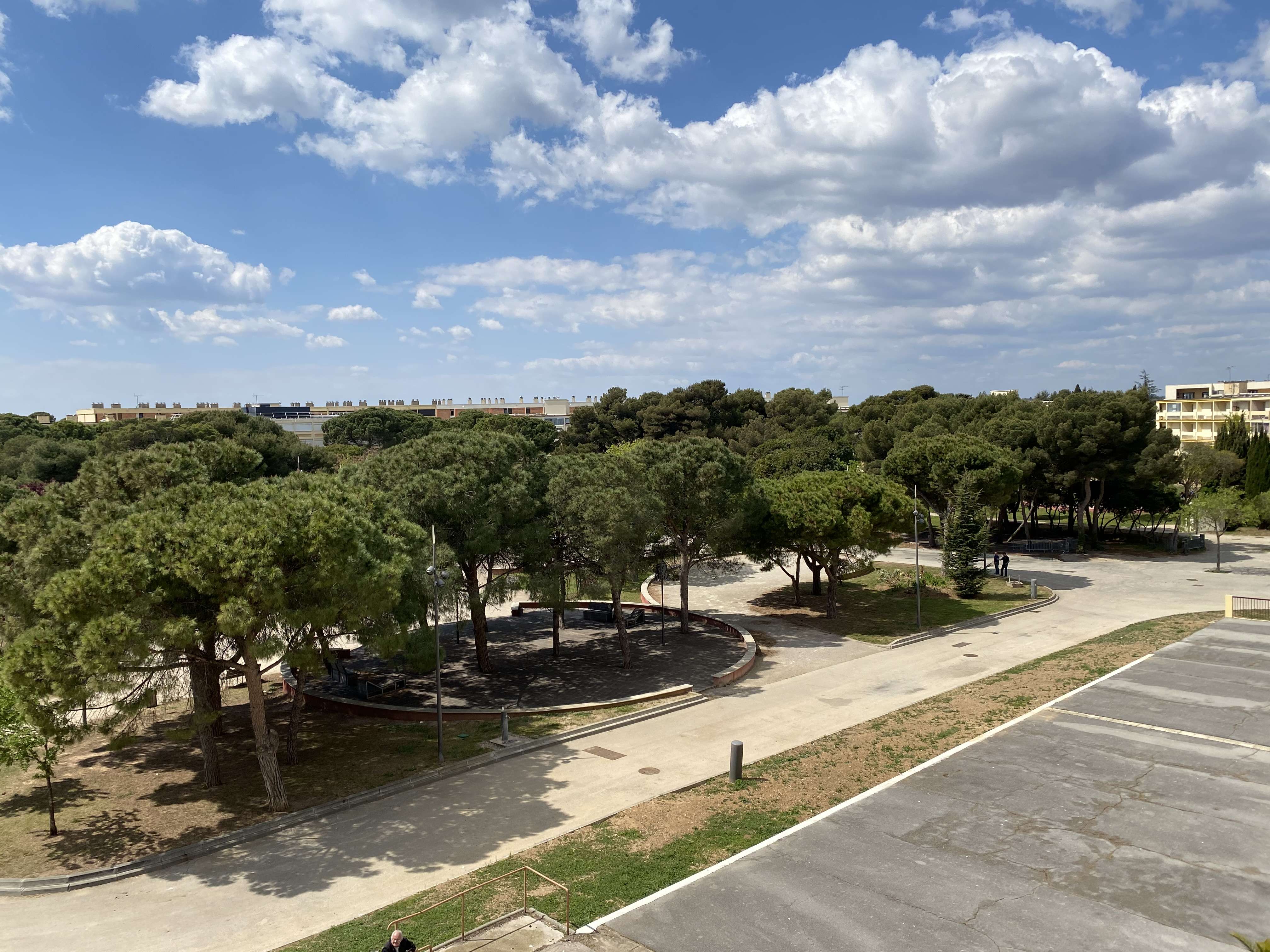 _clients_193454005_photos_655l_18765140