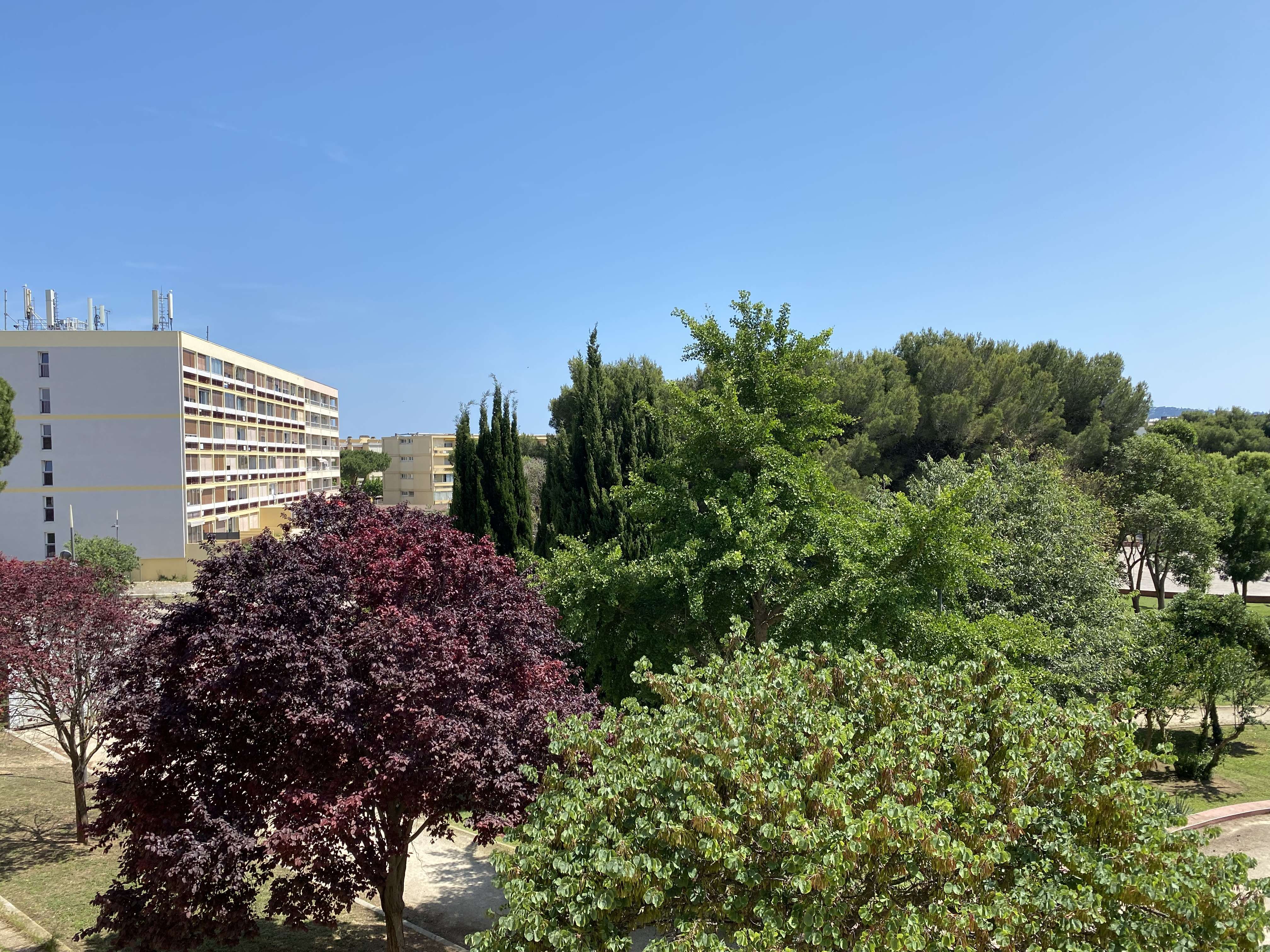 _clients_193454005_photos_717l_19267040