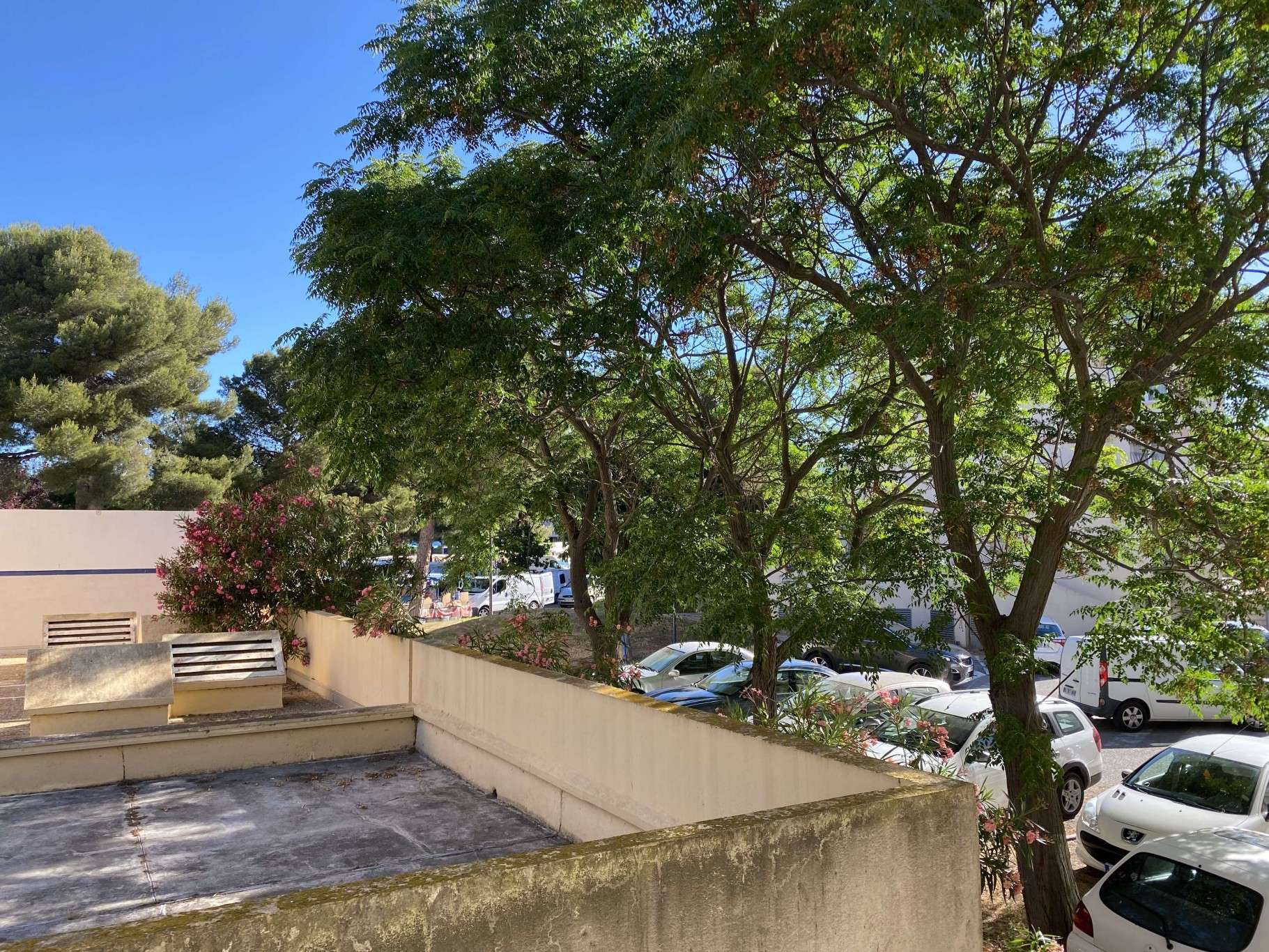 _clients_193454005_photos_731j_18843780