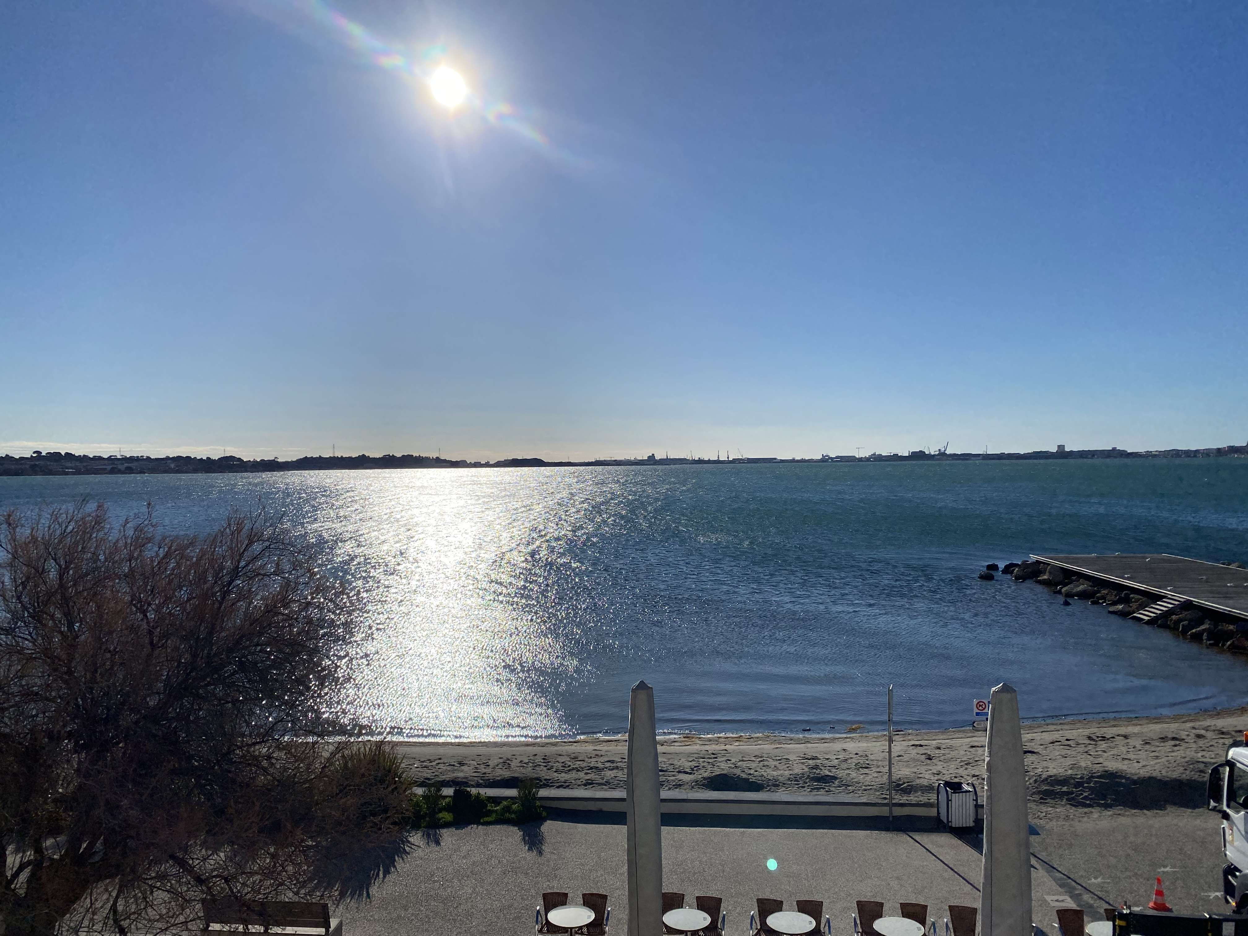 _clients_193454005_photos_736a_18970905