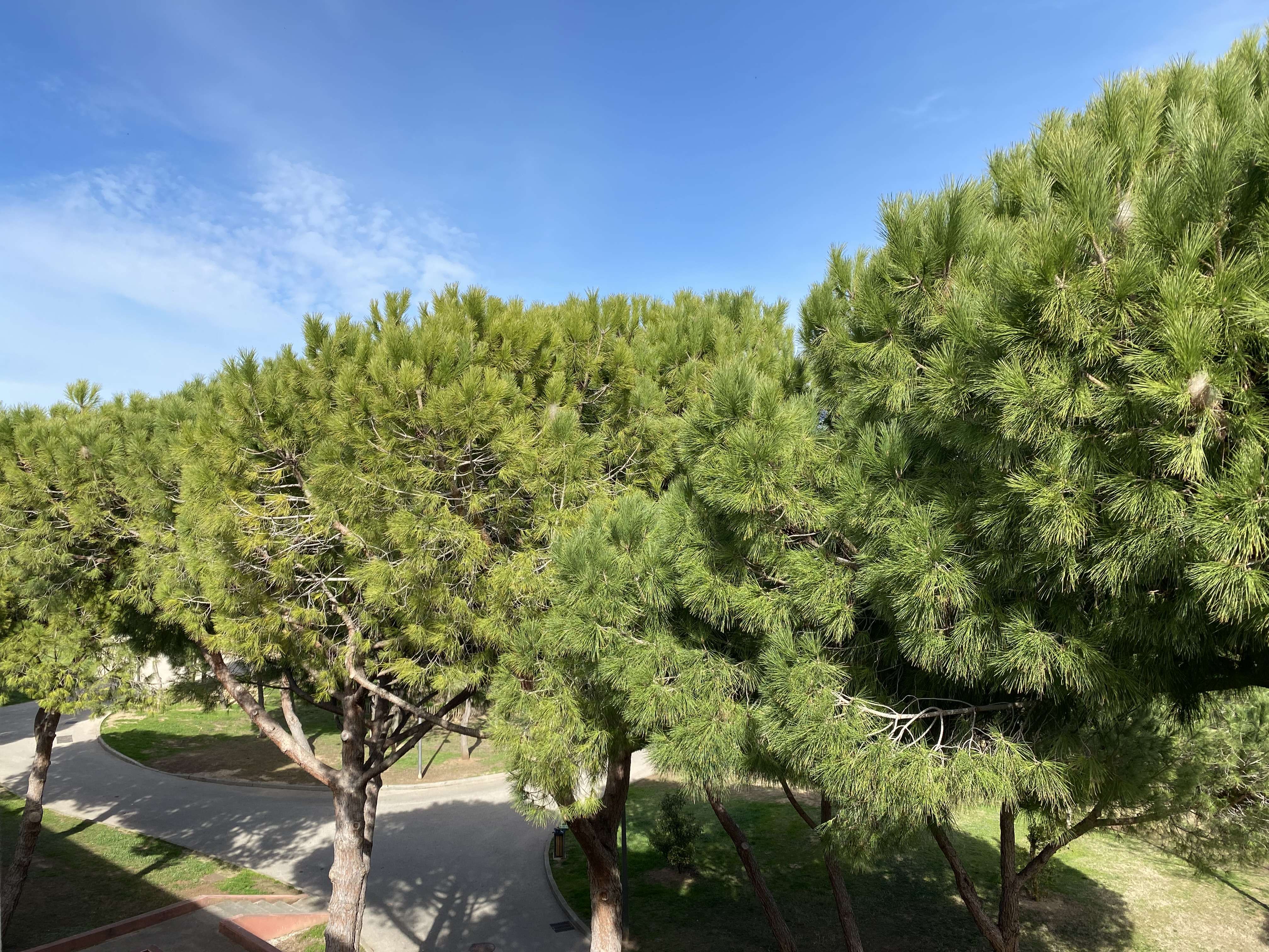 _clients_193454005_photos_739l_18836788