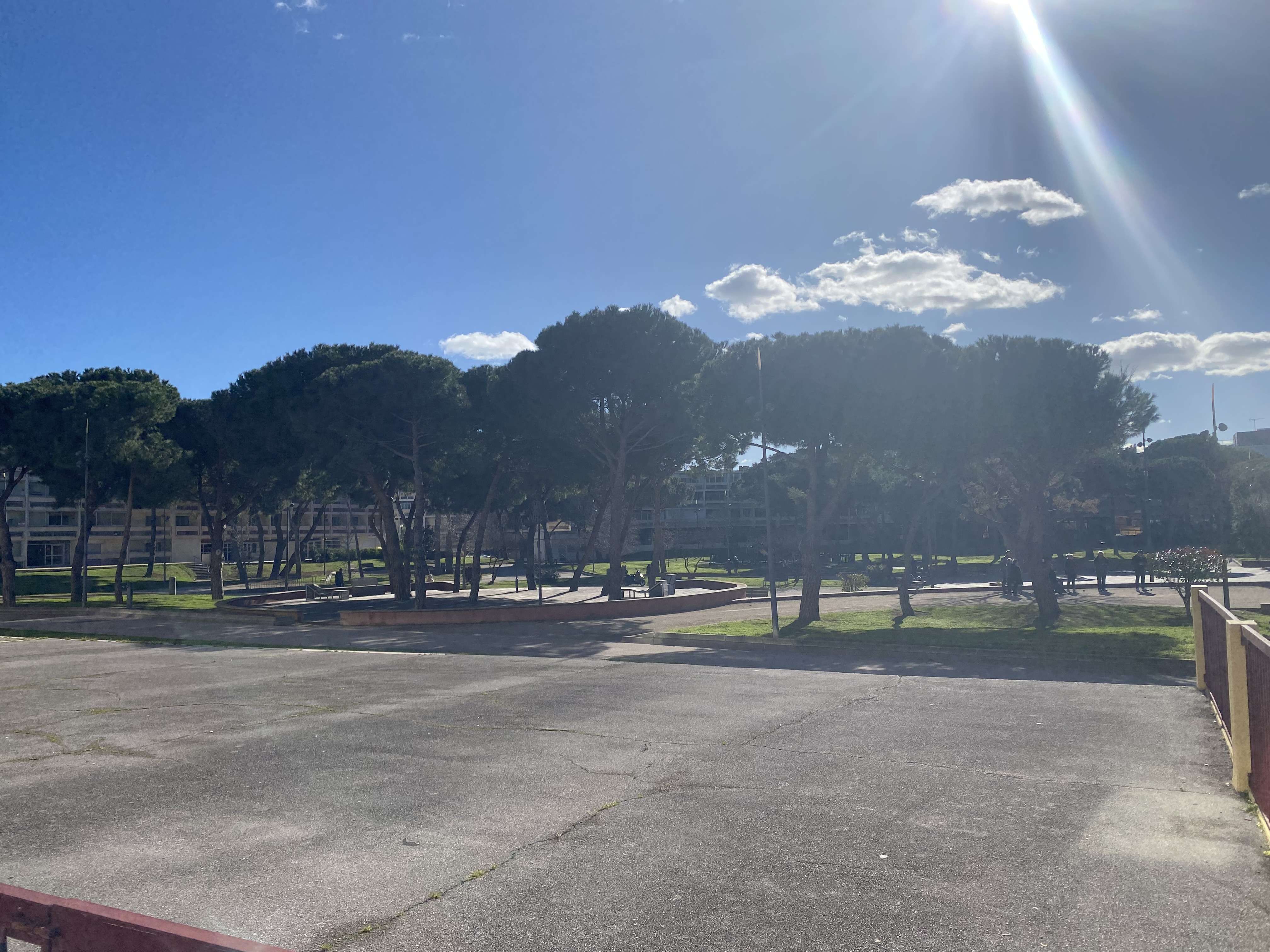 _clients_193454005_photos_780l_18429446