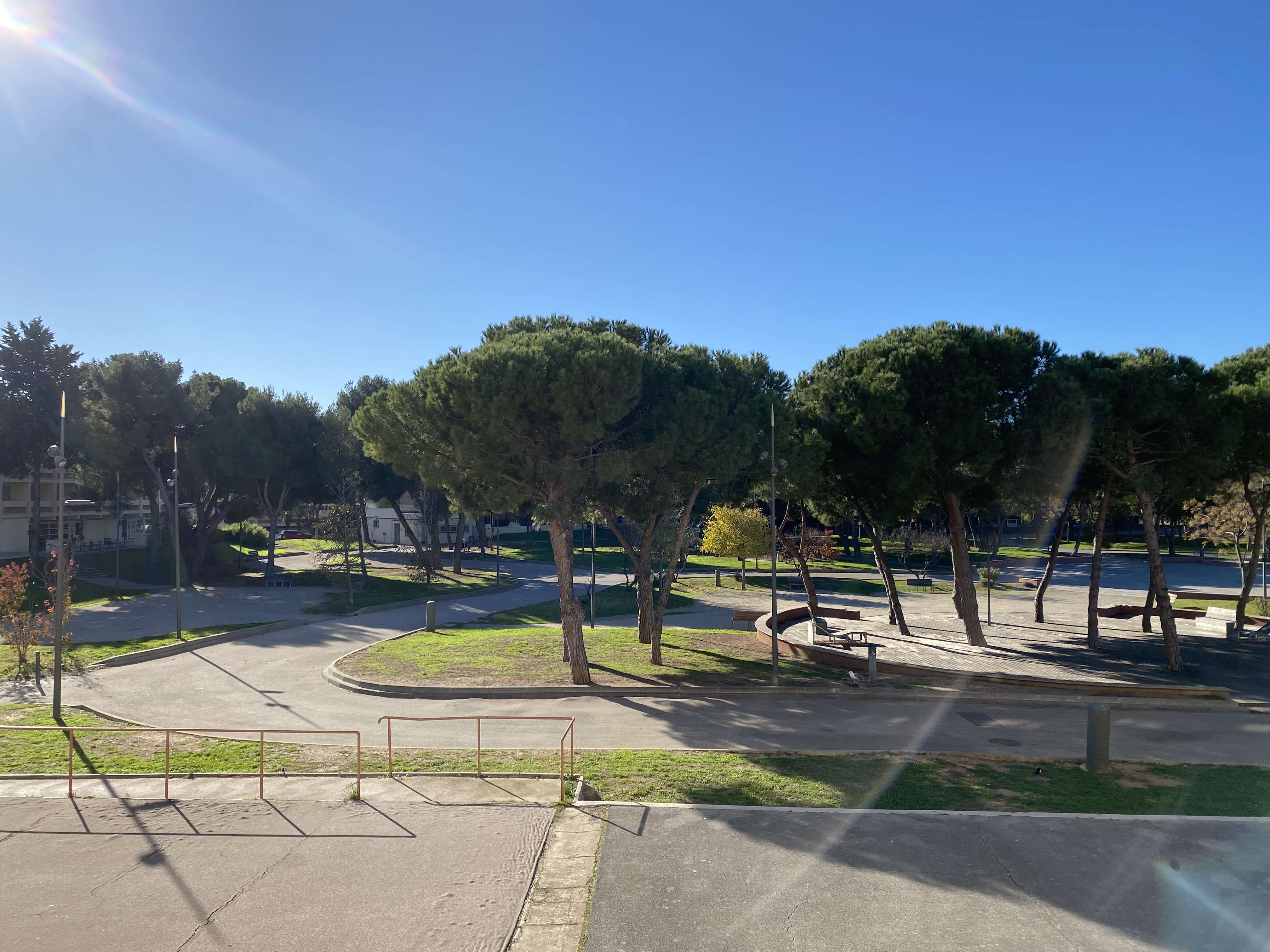 _clients_193454005_photos_782a_18121922