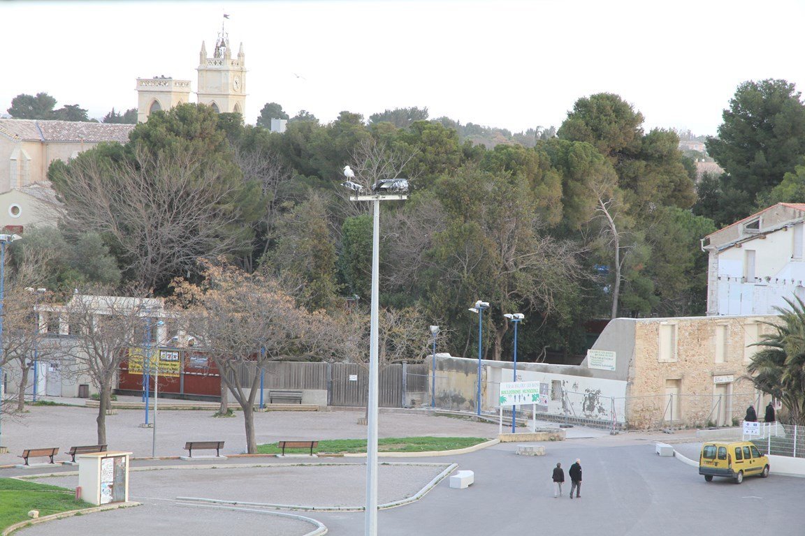 _clients_193454005_photos_797k_18747877