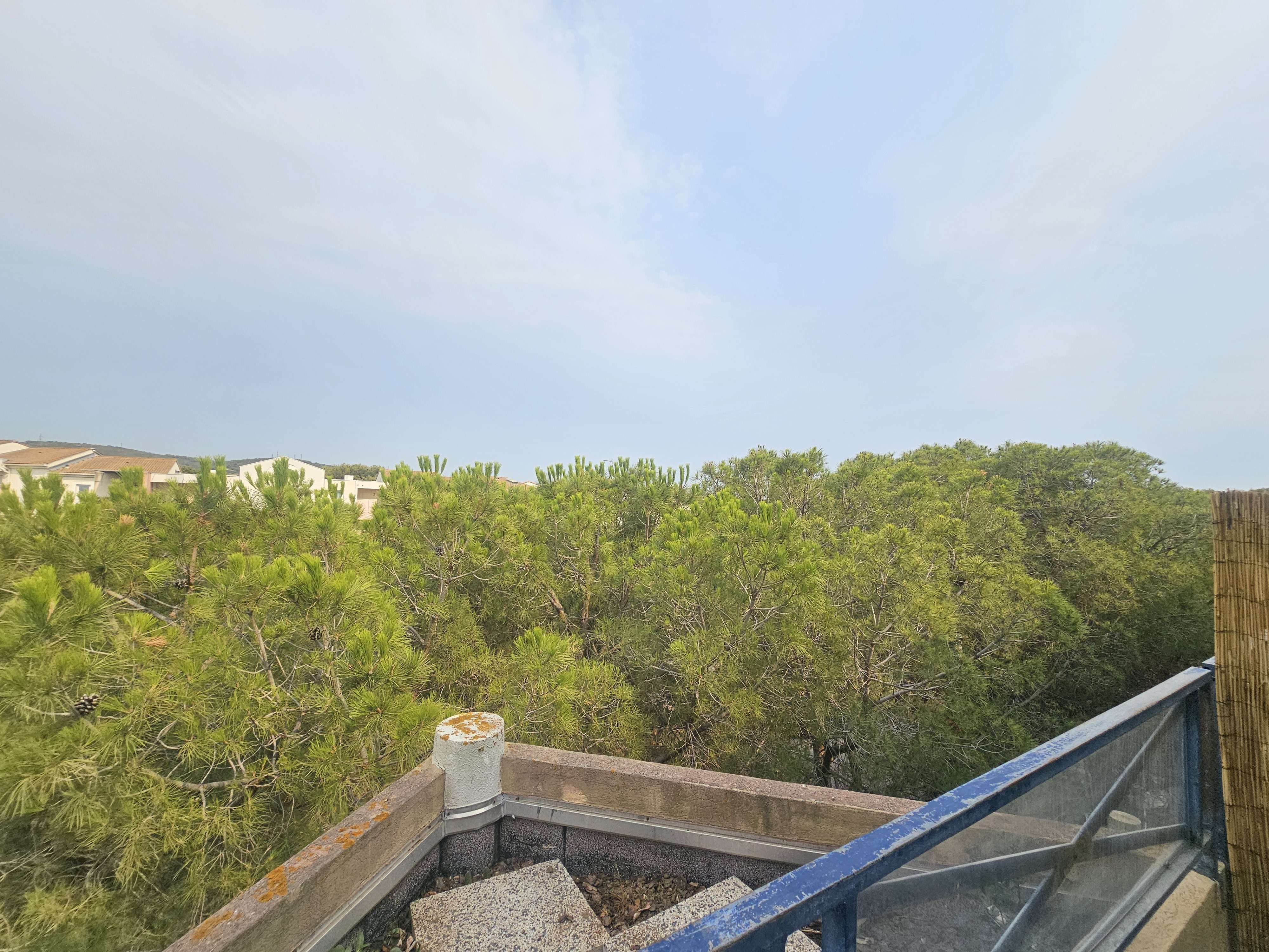 _clients_193454005_photos_809p_19194751