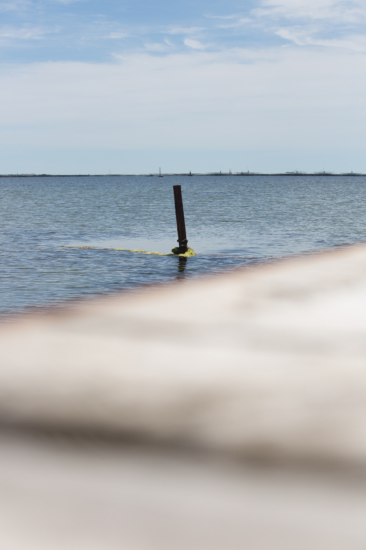 _lv_images__lot_0000000007_02_19285263