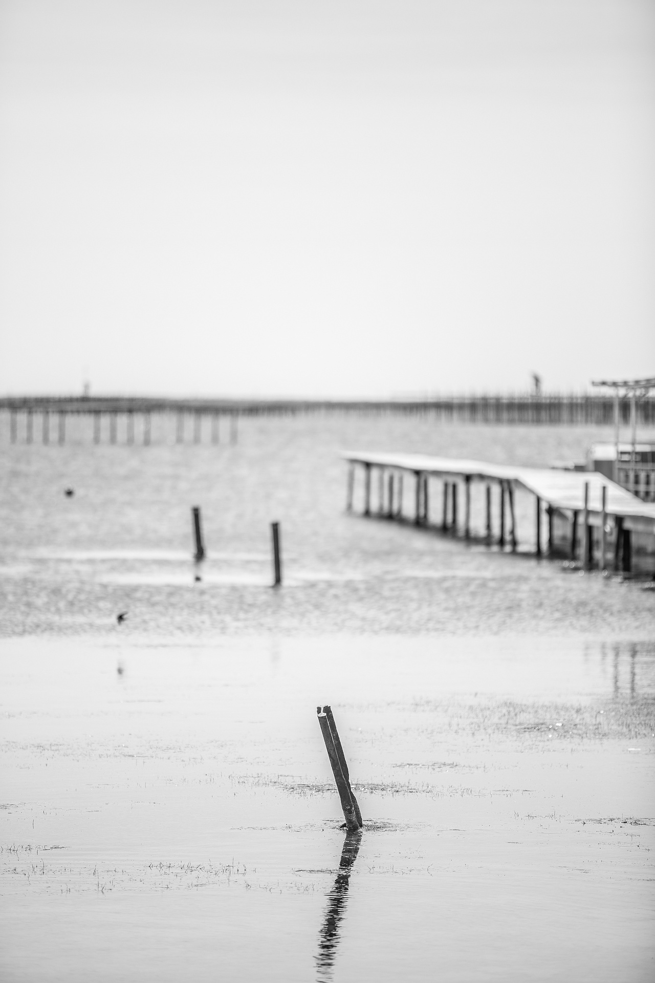 _lv_images__lot_0000000029_02_18681641