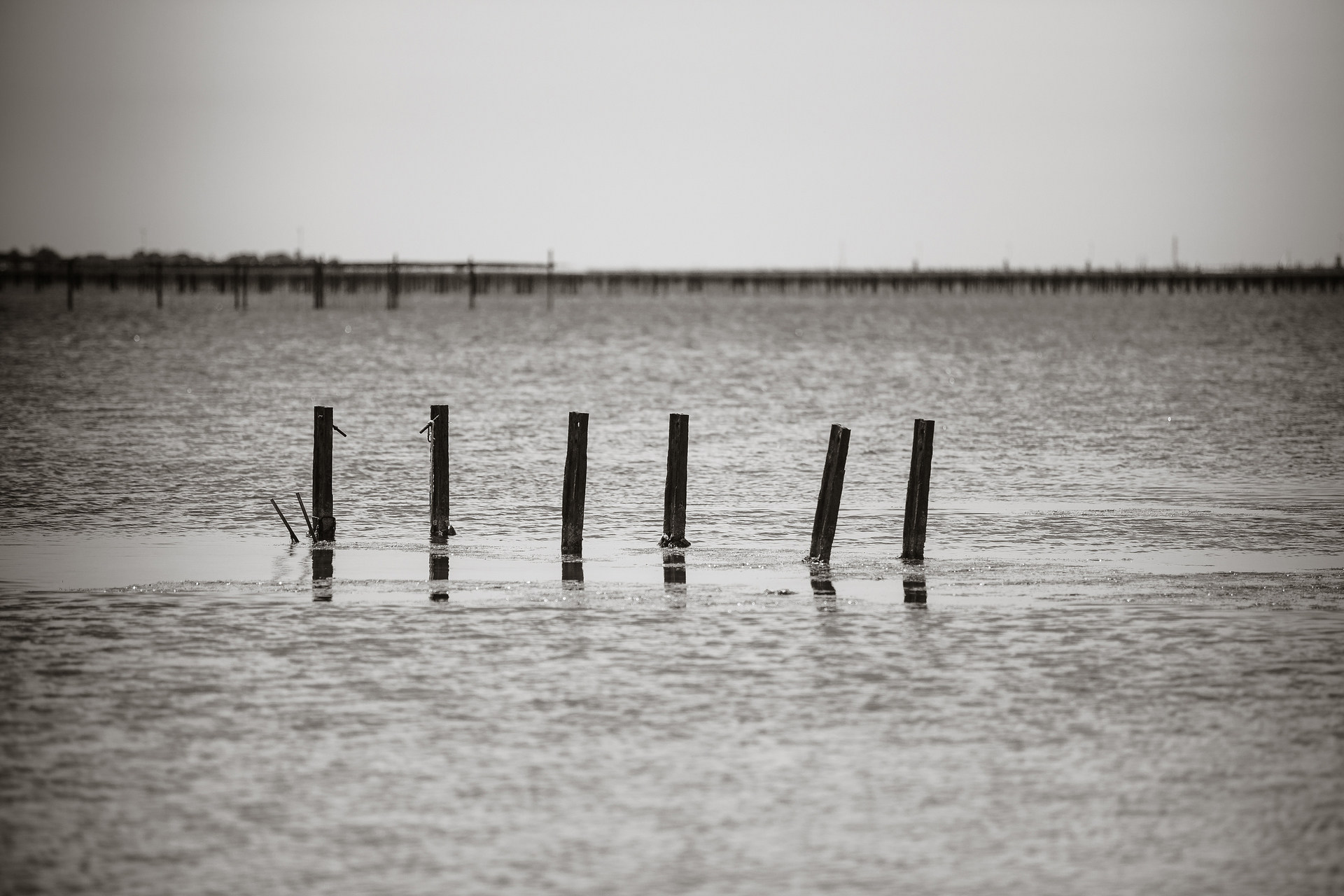 _lv_images__lot_0000000036_07_17262650