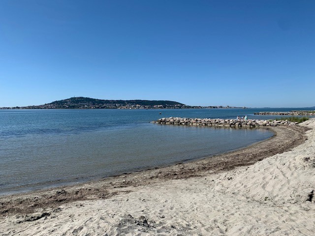 _lv_images__lot_0000000065_07_18961118