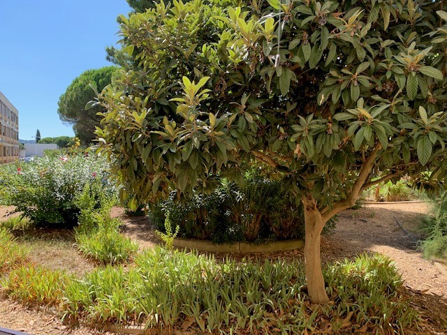 _lv_images__lot_0000000069_09_18327541