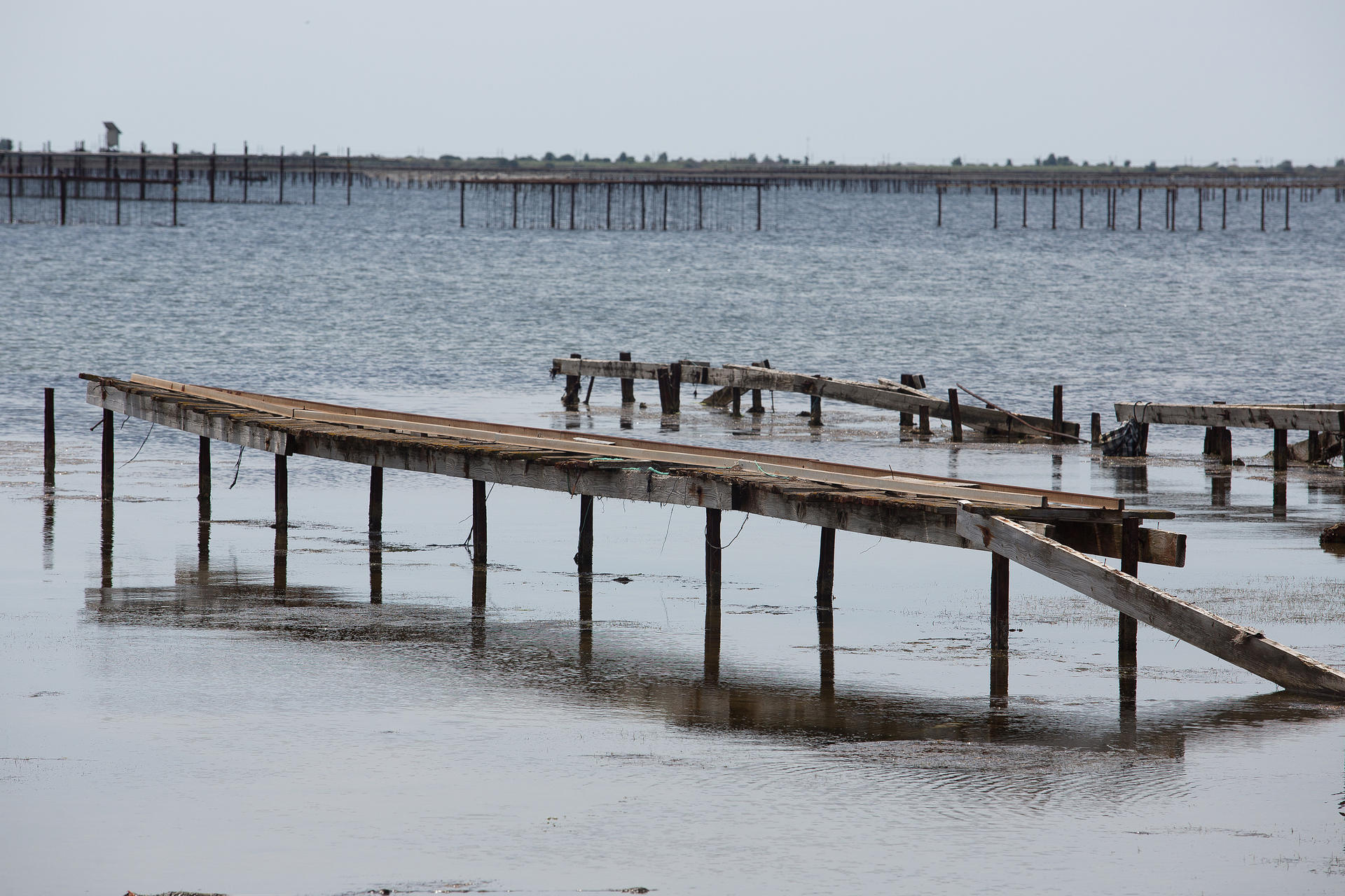 _lv_images__lot_0000000076_04_18424936