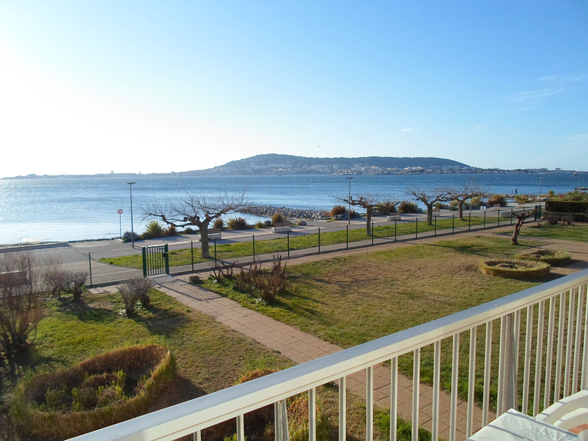 _lv_images__lot_0000000088_01_18960525