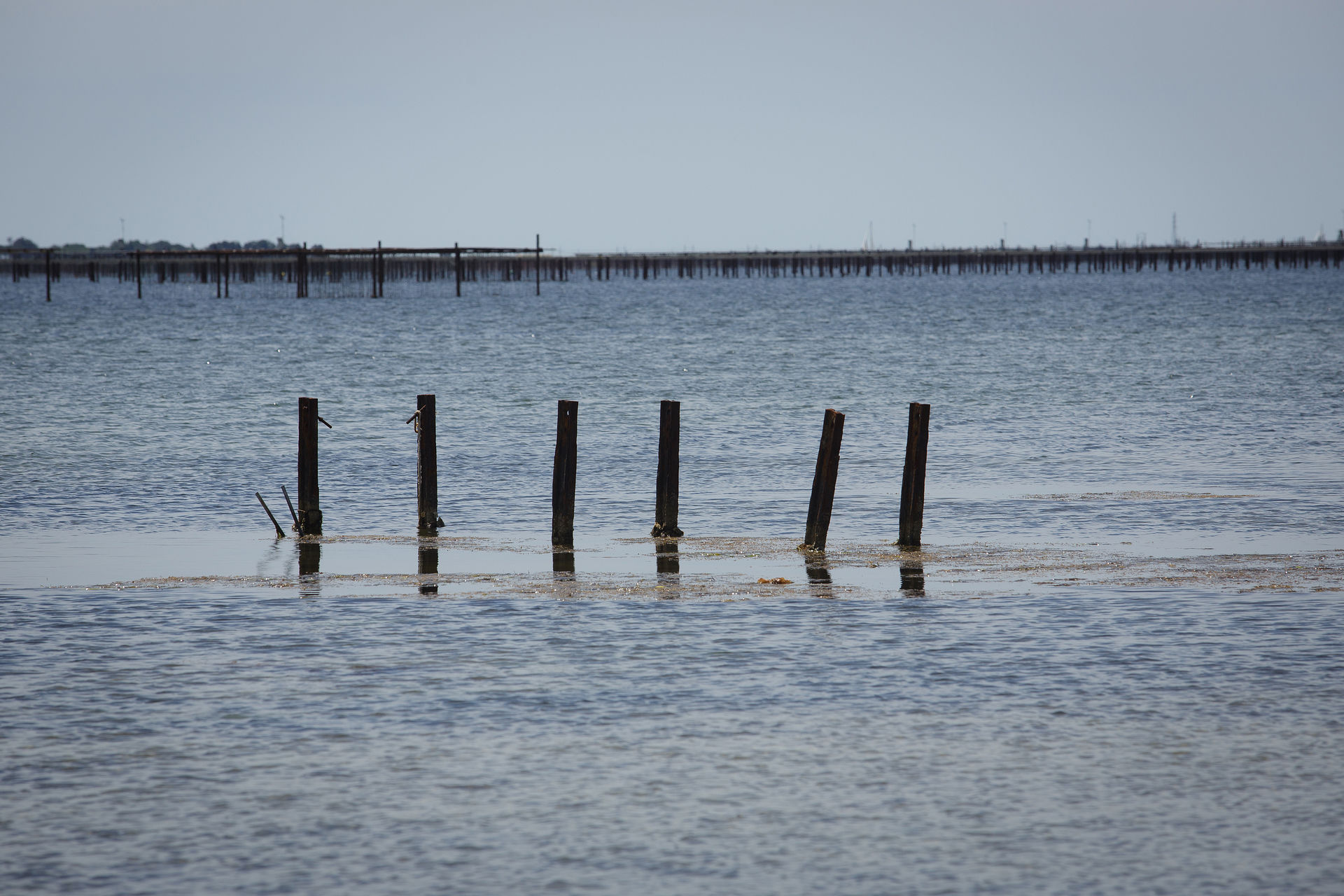 _lv_images__lot_0000000151_02_17188299