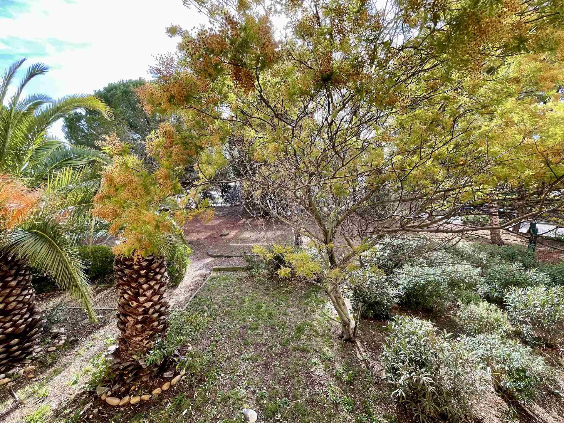 _lv_images__lot_0000000176_14_19156163