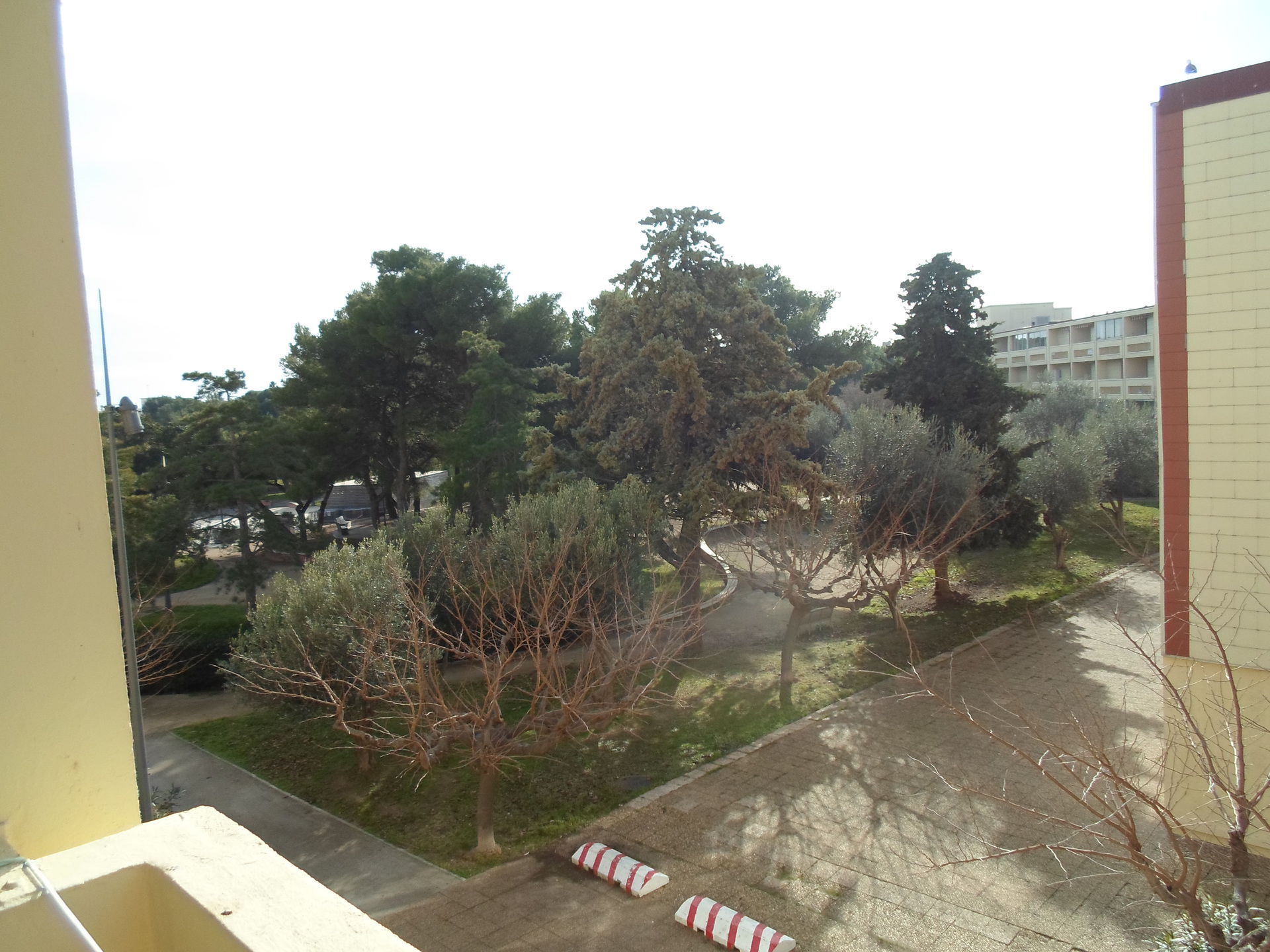 _lv_images__lot_0000000185_13_18681538