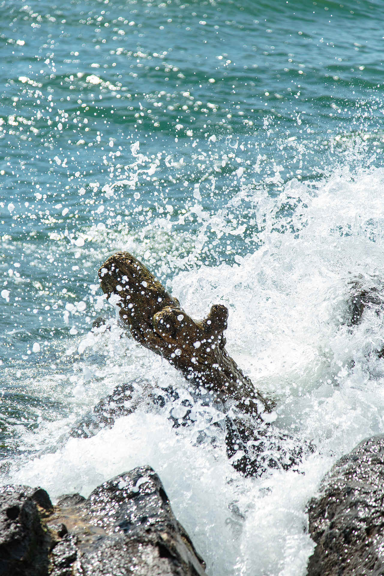 _lv_images__lot_0000000207_04_19155290