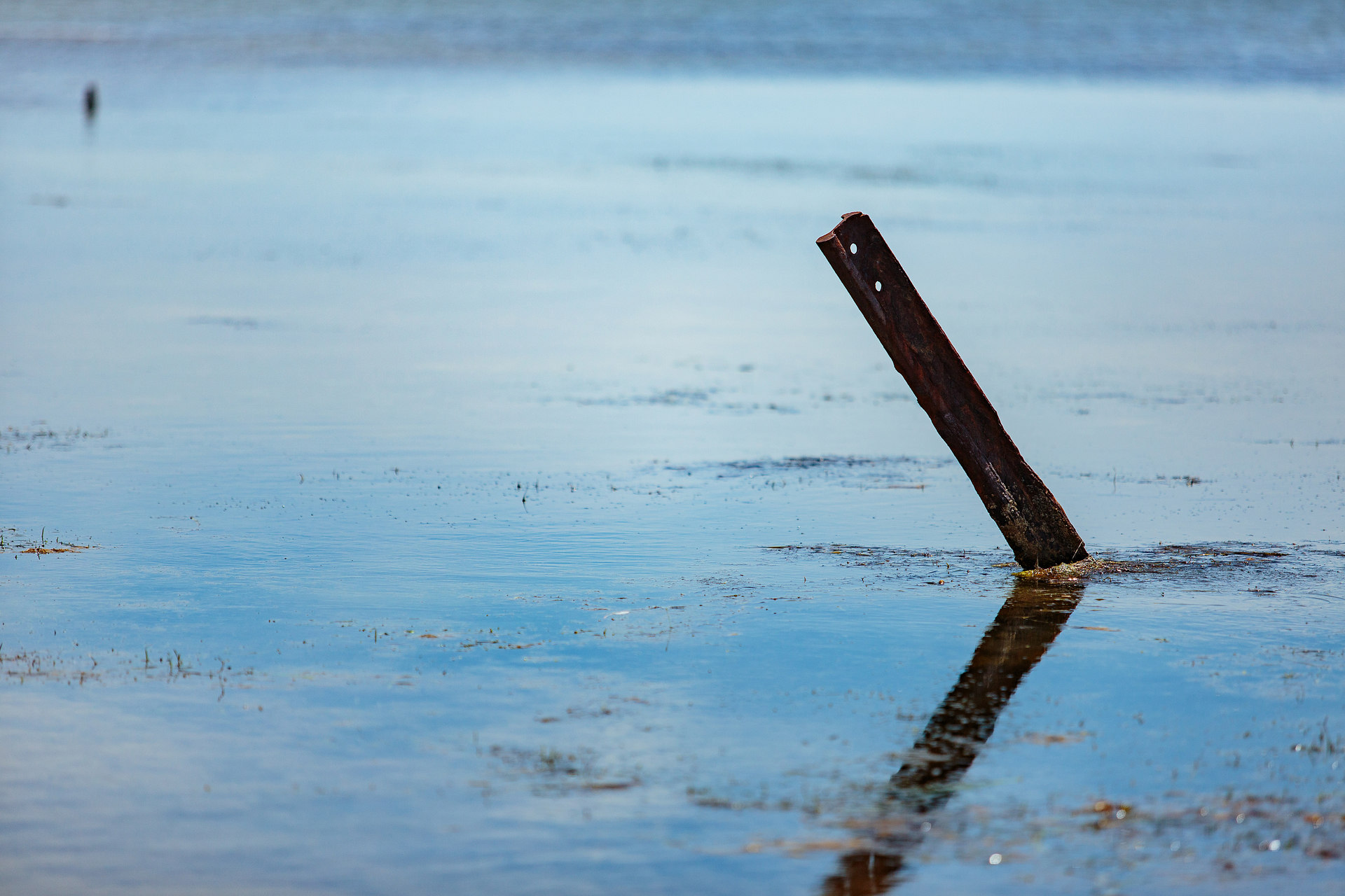 _lv_images__lot_0000000207_10_18601355