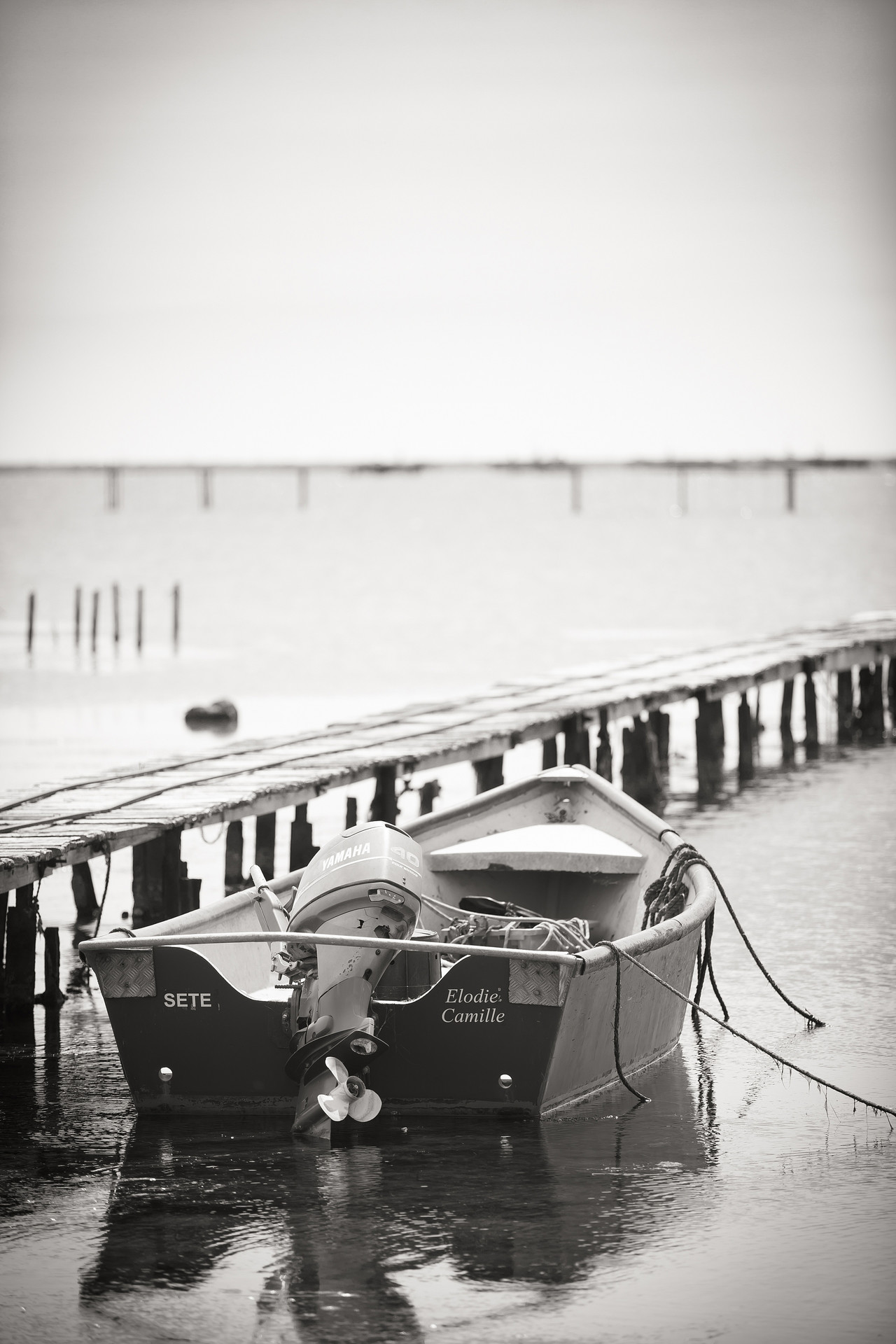 _lv_images__lot_0000000234_10_17262353