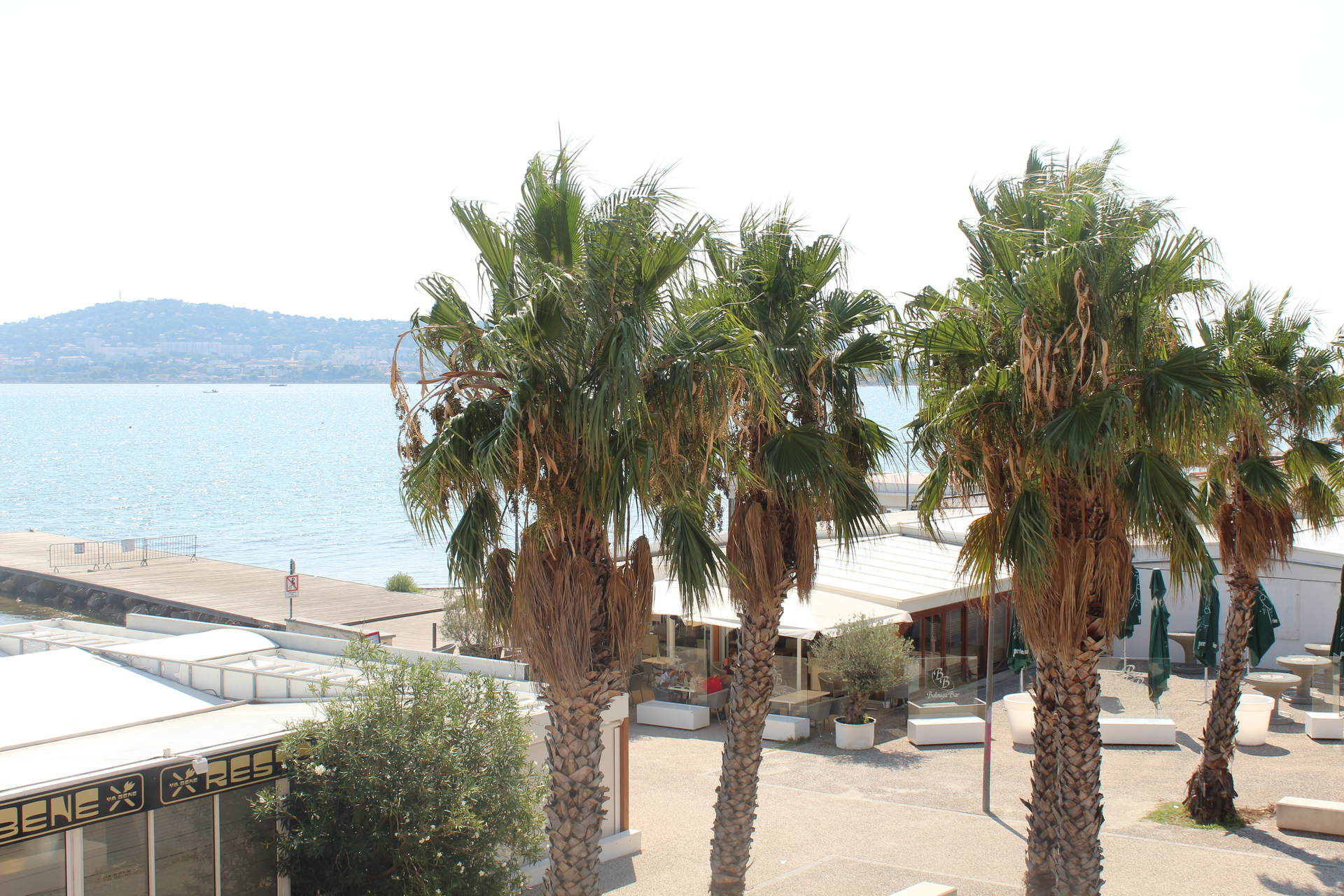 _lv_images__lot_0000000239_01_18960928